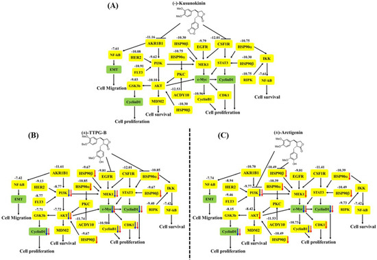 Siwakorn ページ Prostaglandin E2-EP2/EP4 signaling induces immunosuppression