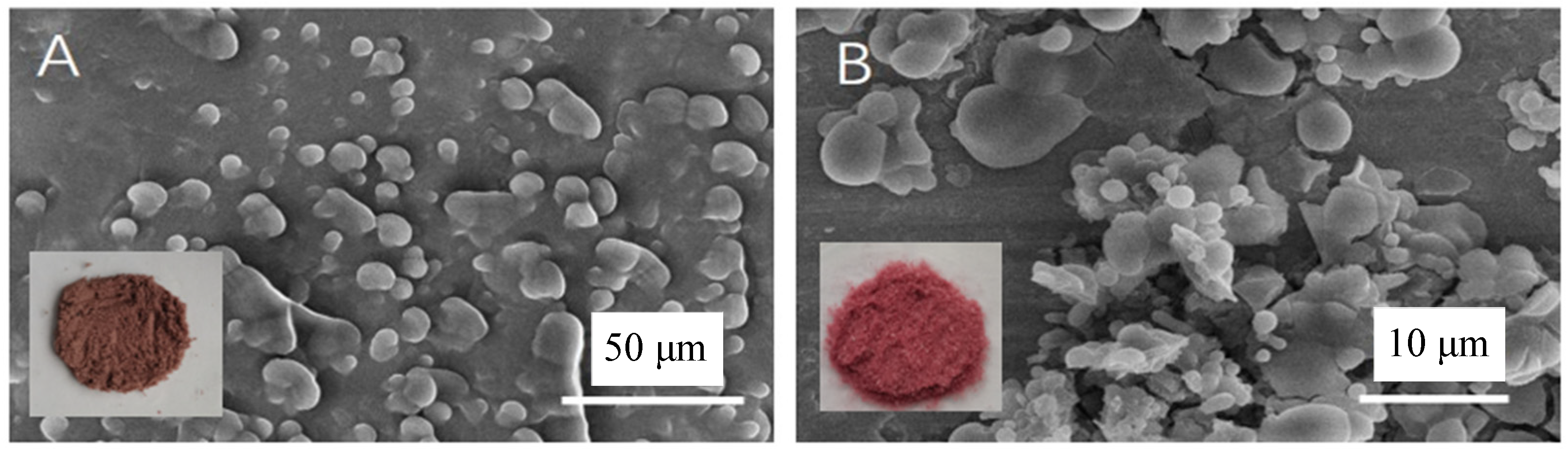 Molecules 28 07344 g007