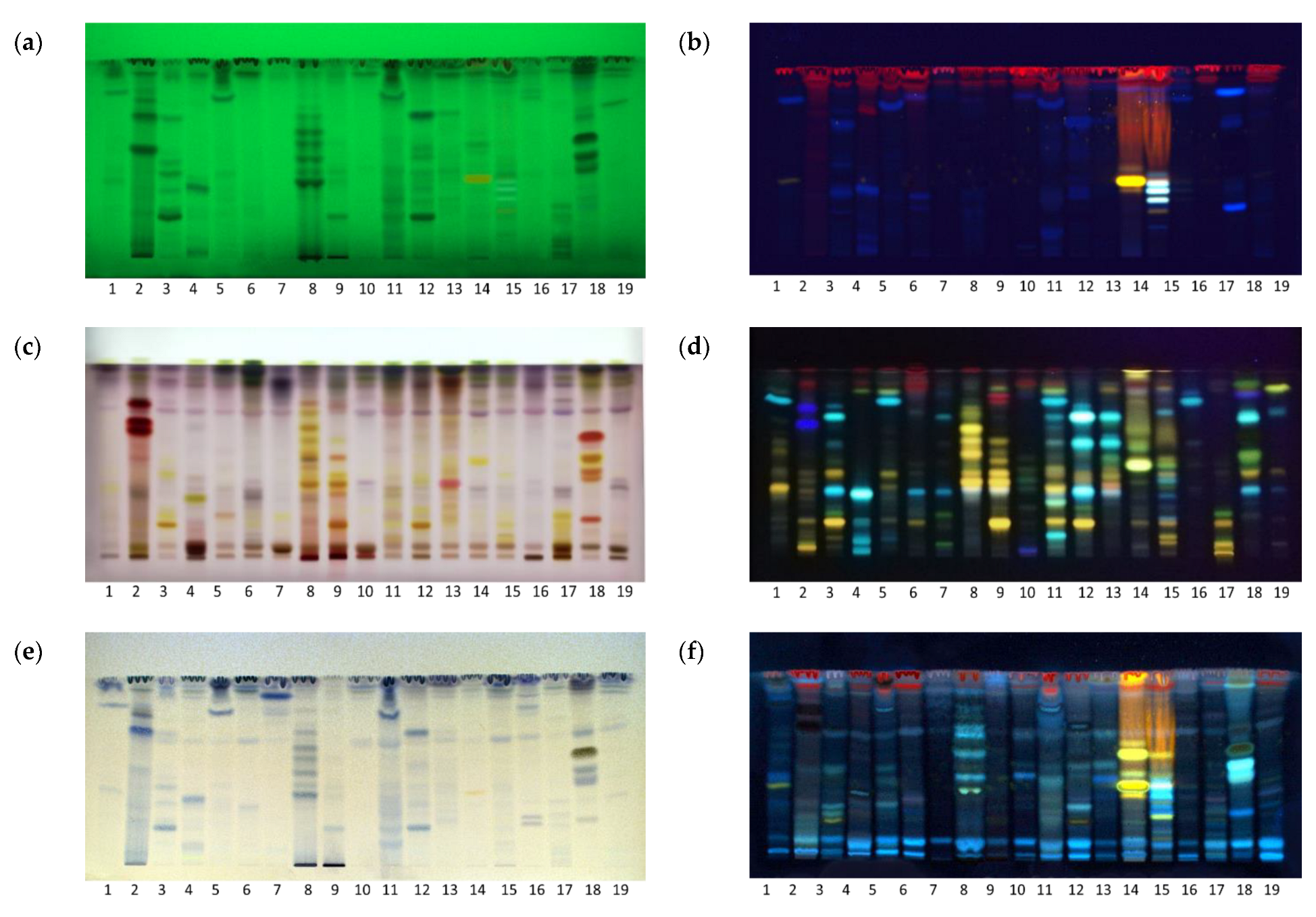 Molecules 28 07346 g001