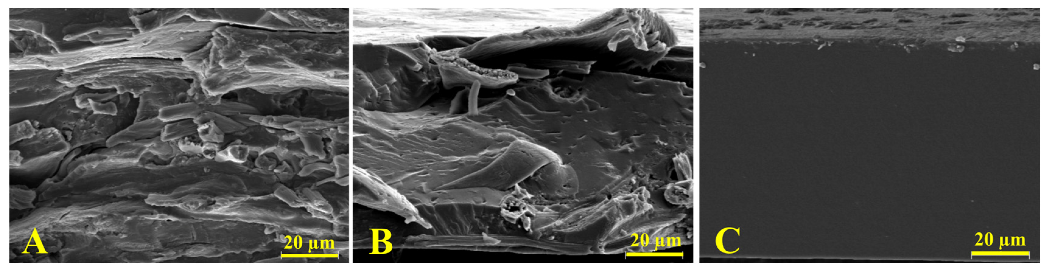 Molecules 28 07350 g002
