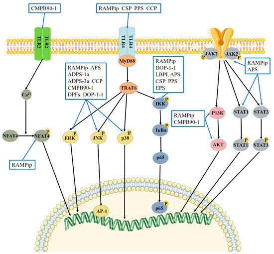 チャイニーズ Nano-formulated delivery of active ingredients from
