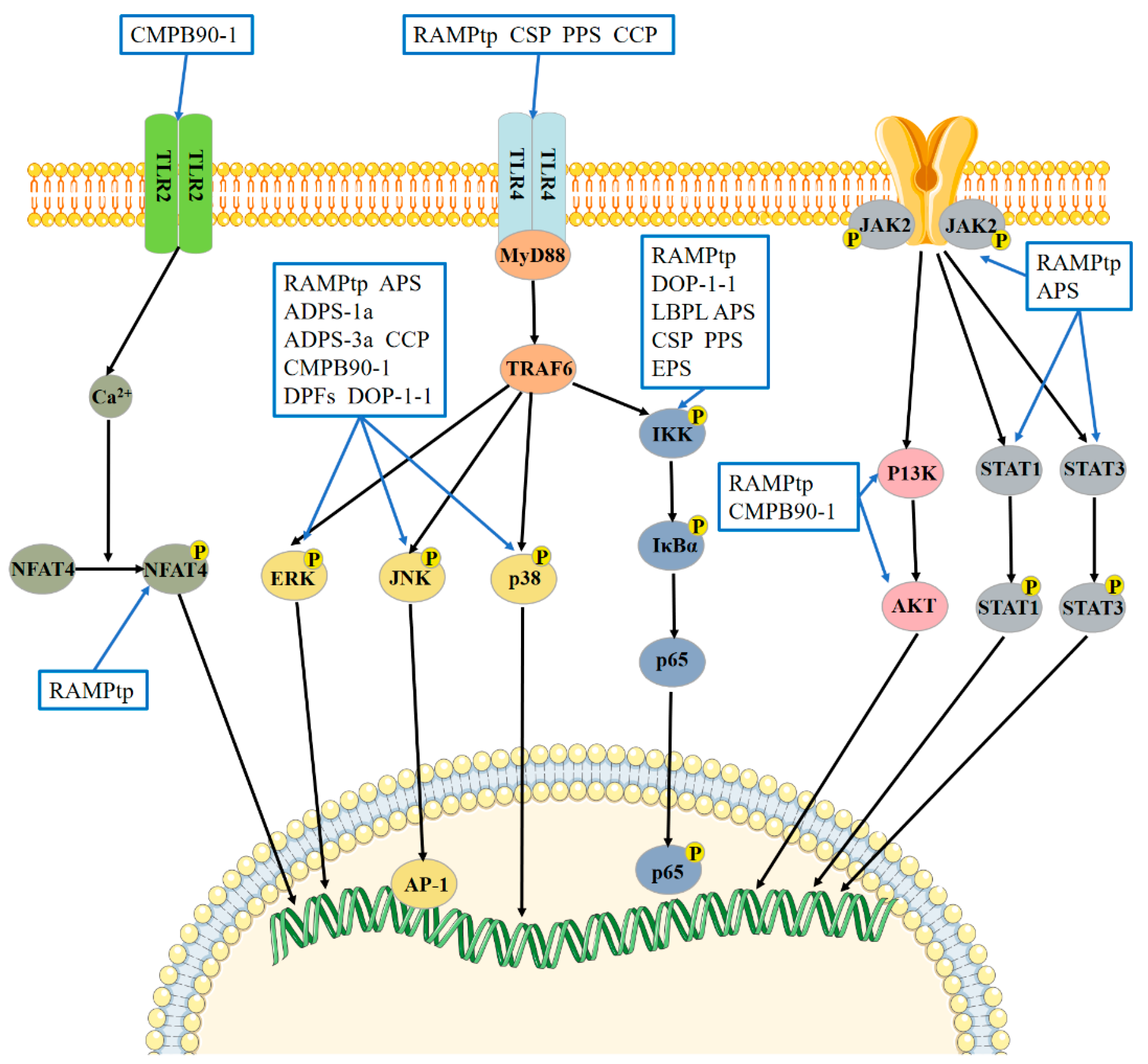 Molecules 28 07355 g003 Molecules 28 07355 g003