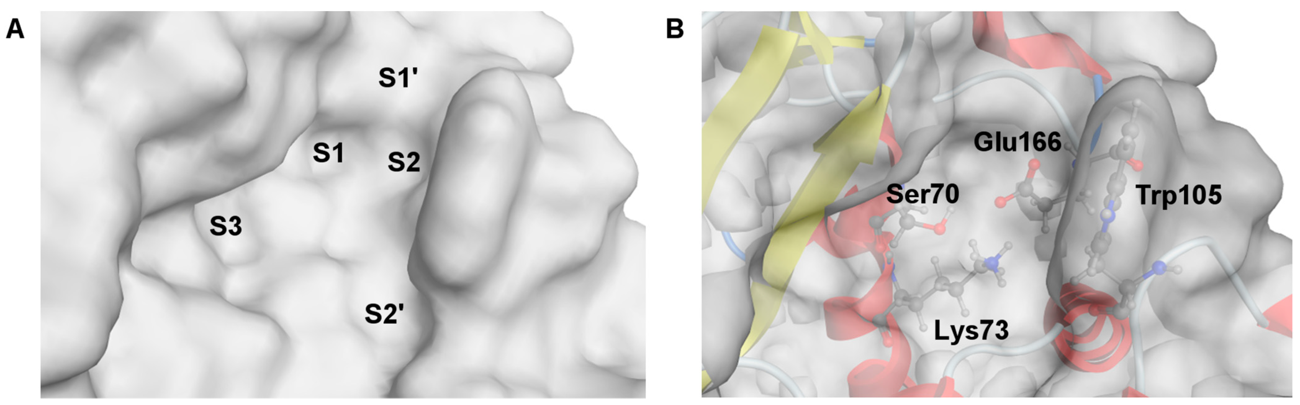 Molecules 28 07362 g003 Molecules 28 07362 g003
