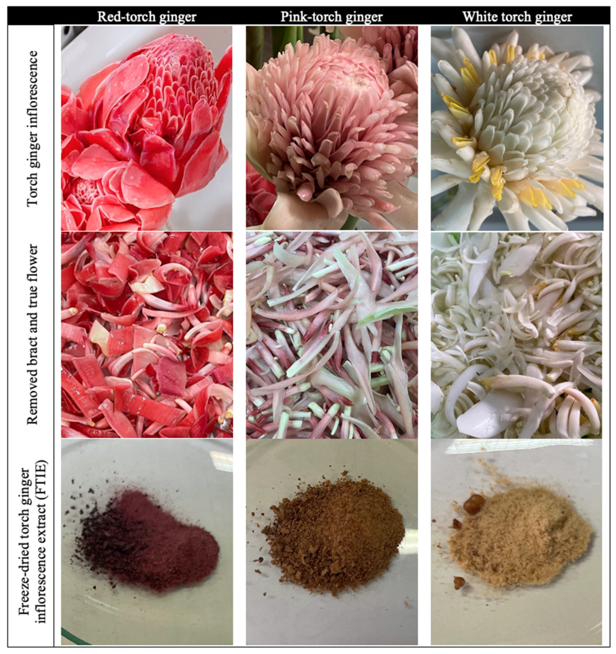 Molecules 28 07370 g001