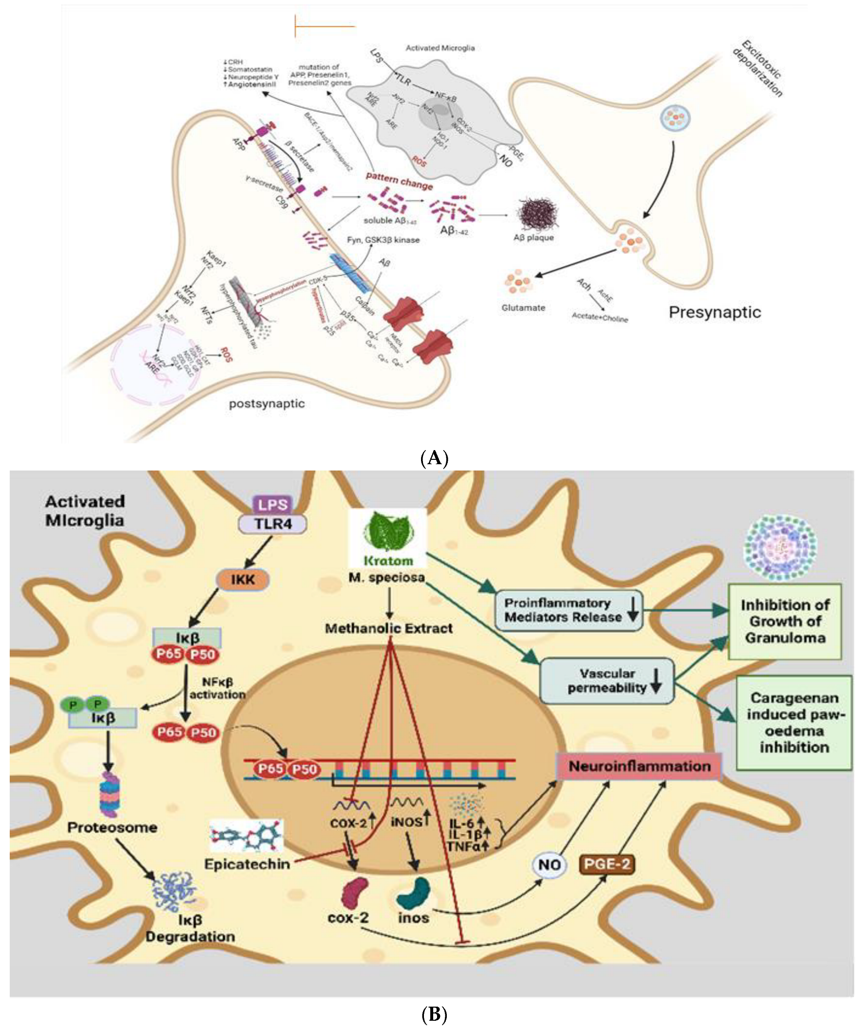 Molecules 28 07372 g004 Molecules 28 07372 g004