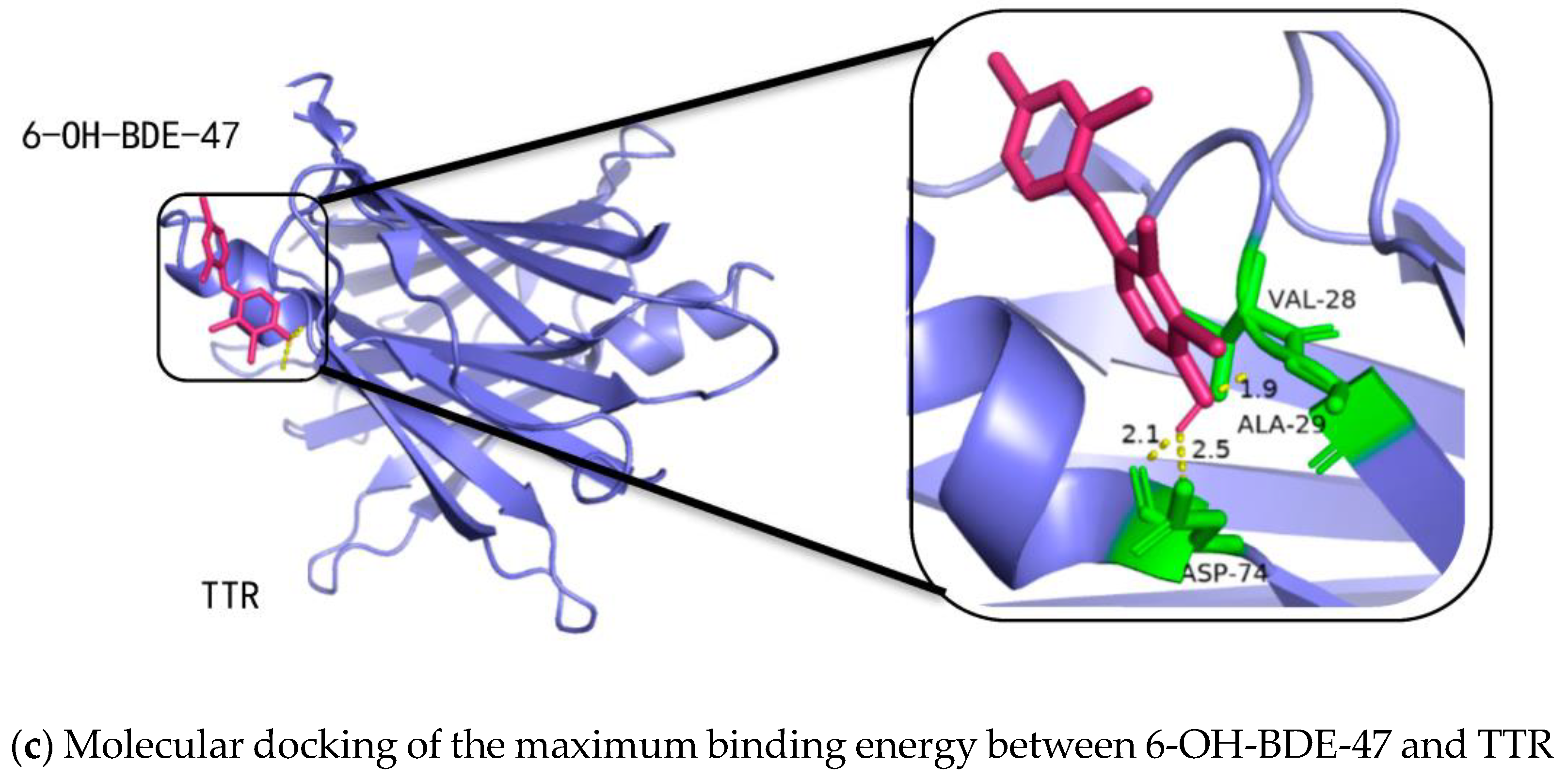Molecules 28 07374 g006b
