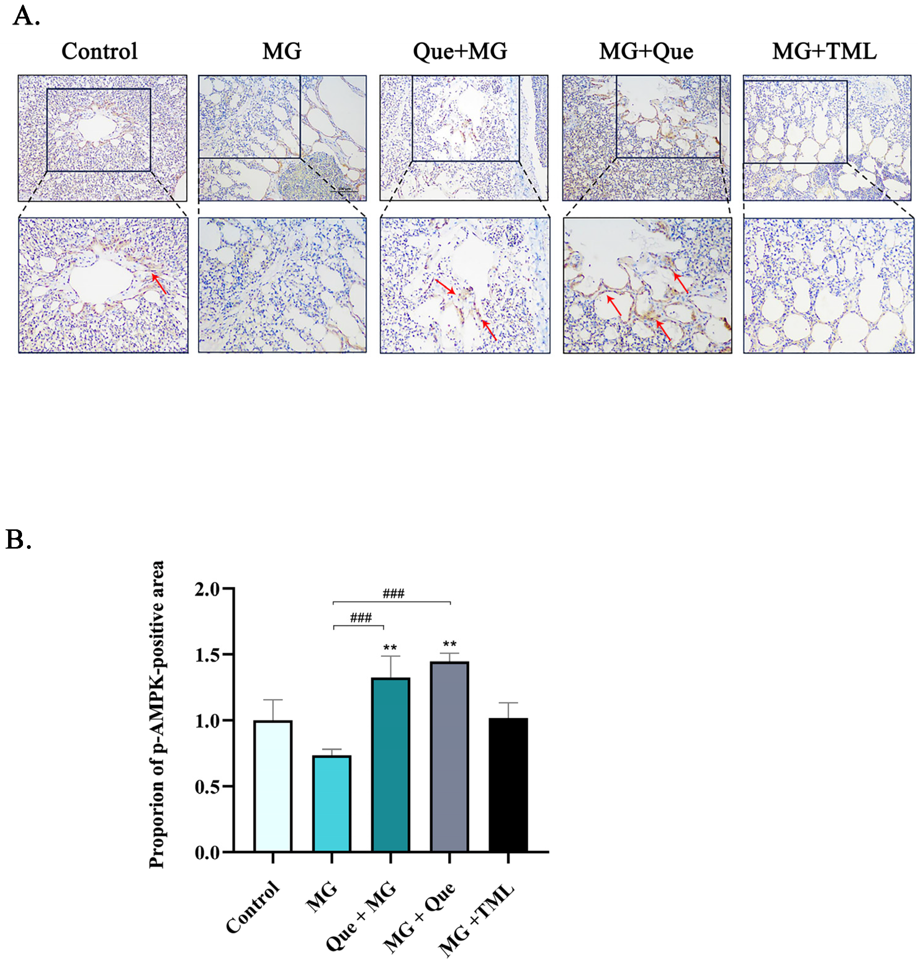 Molecules 28 07388 g006
