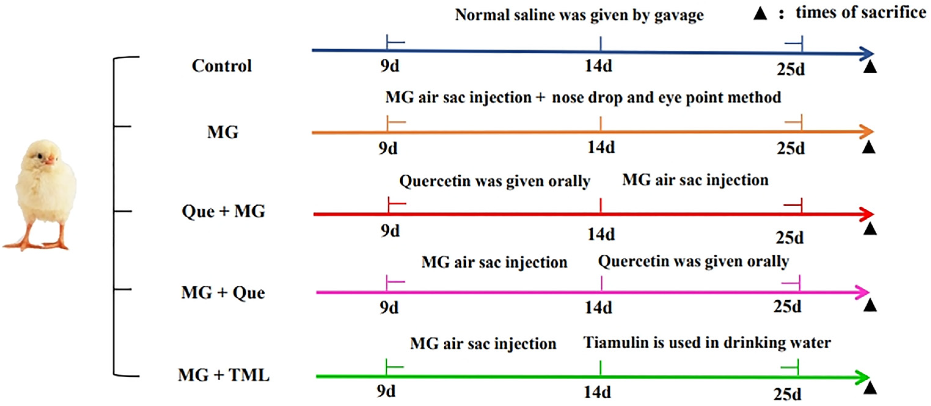 Molecules 28 07388 g010