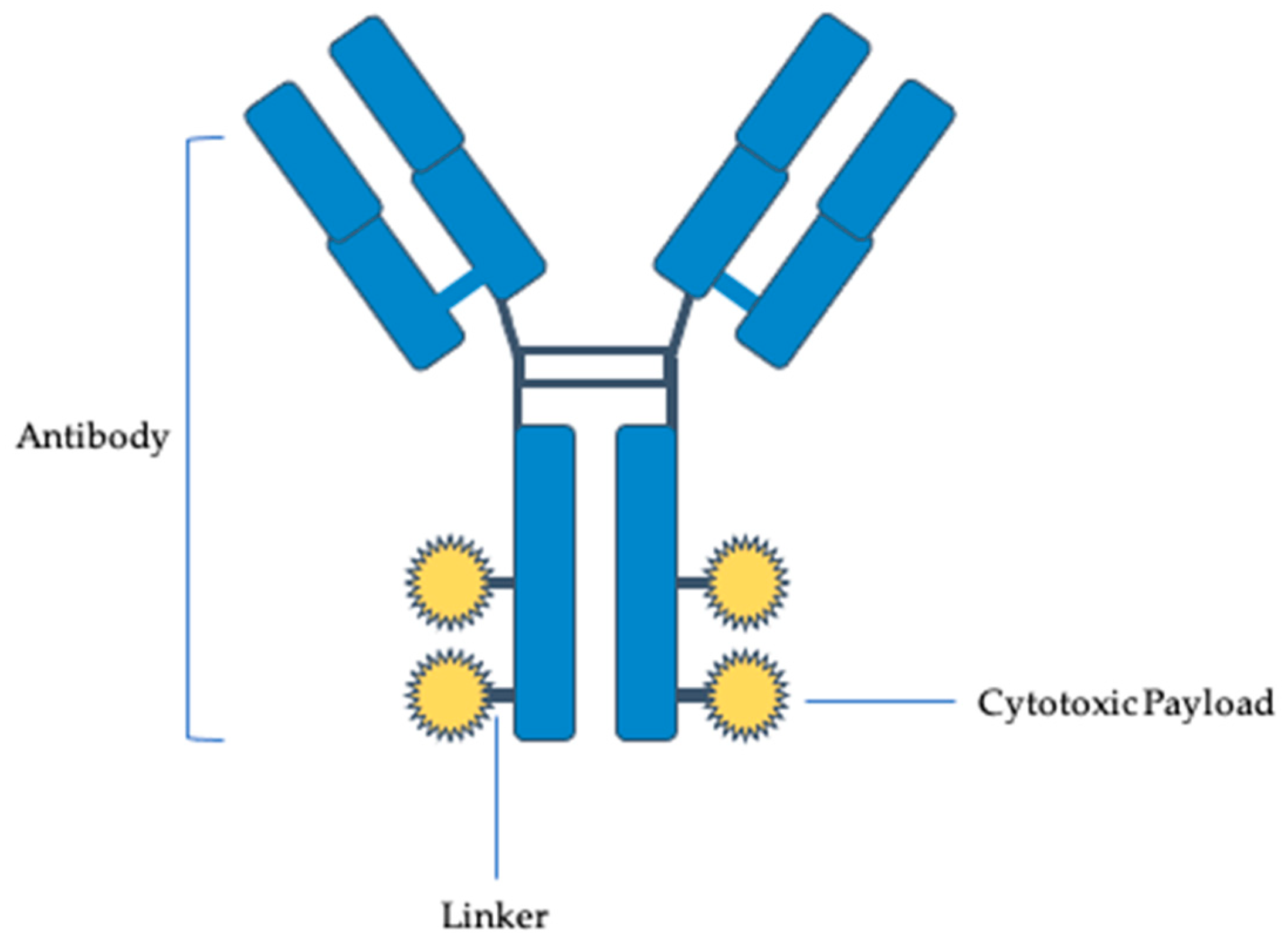 Understanding the activity of antibody–drug conjugates in primary and  secondary brain tumours