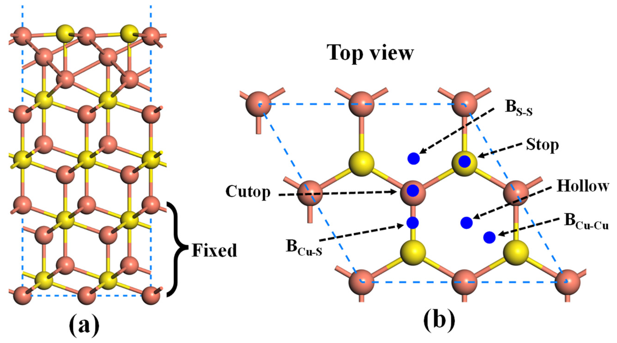 Molecules 28 07390 g002