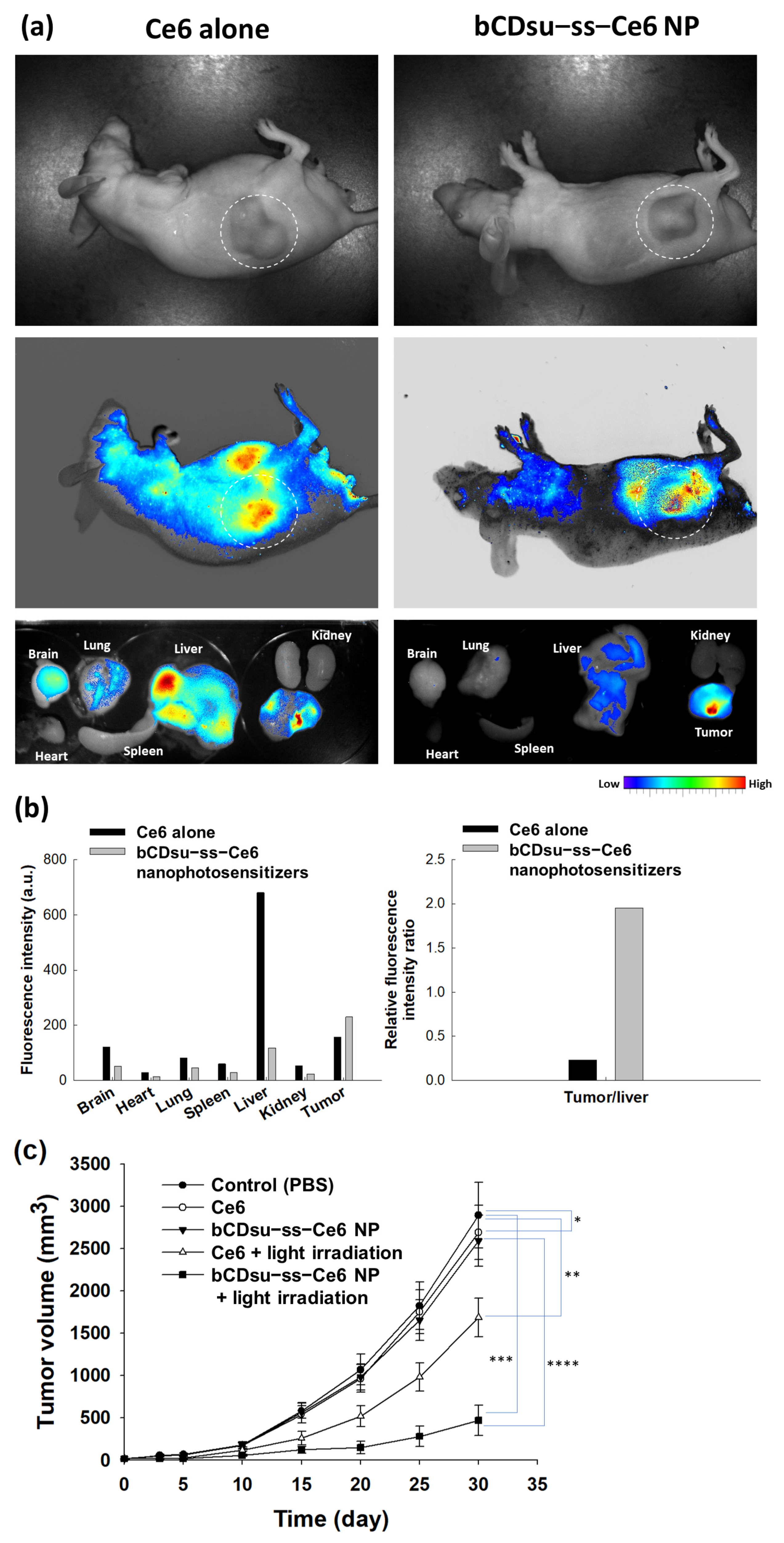 Molecules 28 07398 g009 Molecules 28 07398 g009