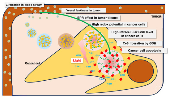β-Cyclodextrin Nanophotosensitizers for Redox-Sensitive Delivery