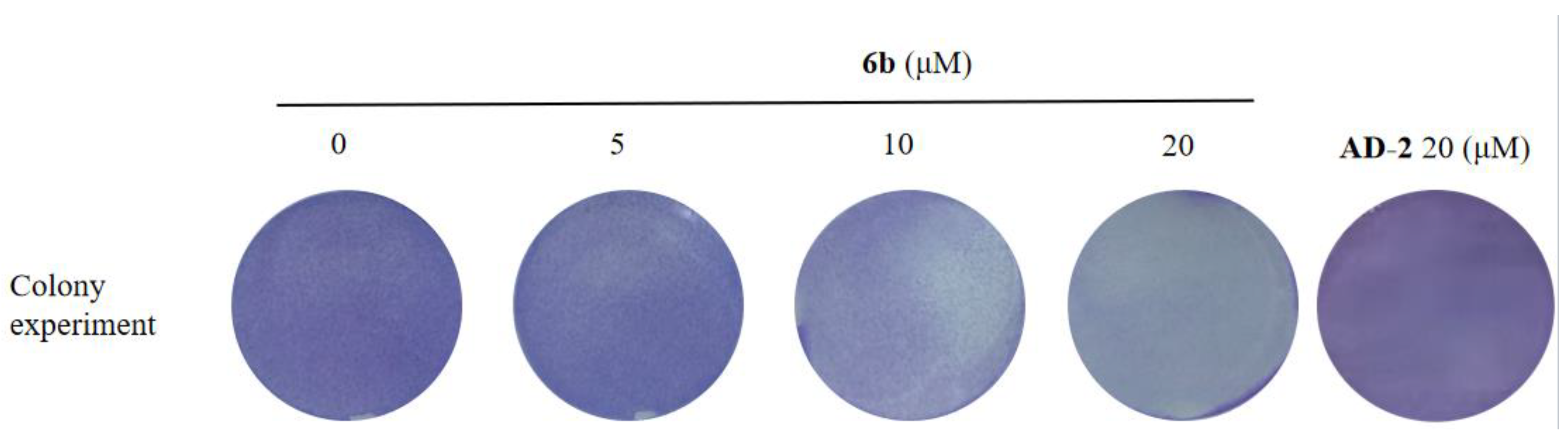 Molecules 28 07400 g003