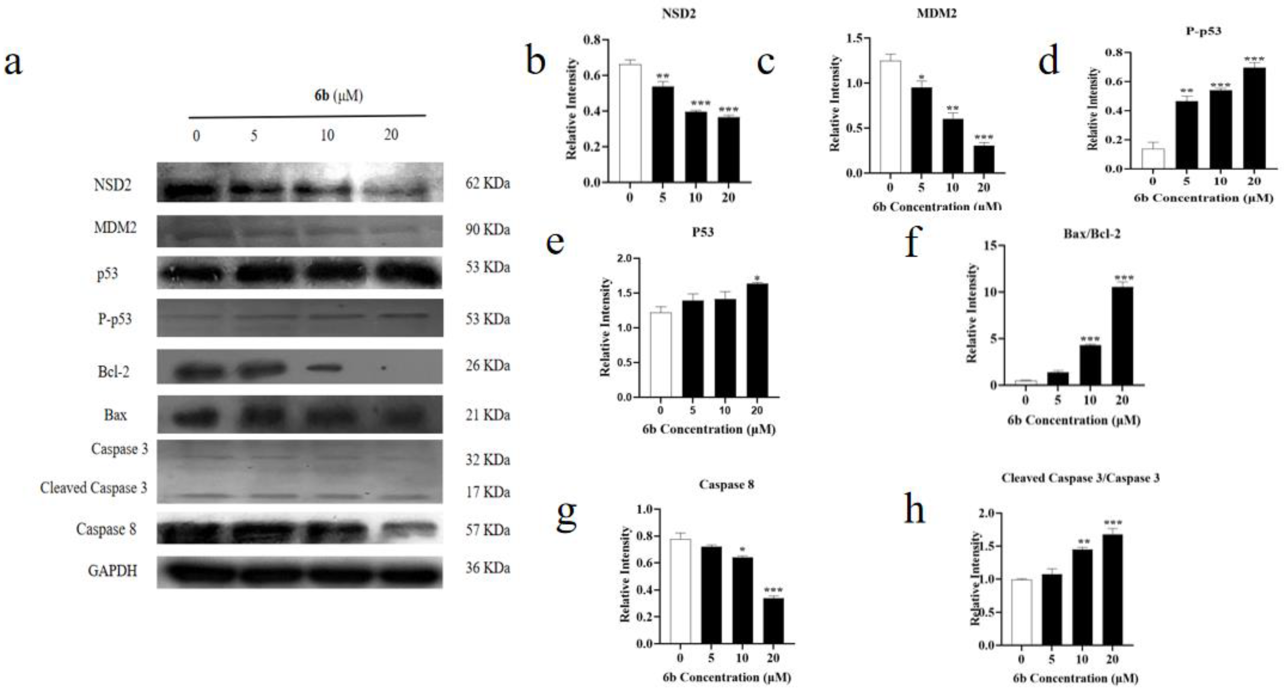 Molecules 28 07400 g004