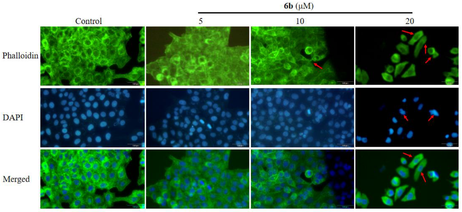 Molecules 28 07400 g007