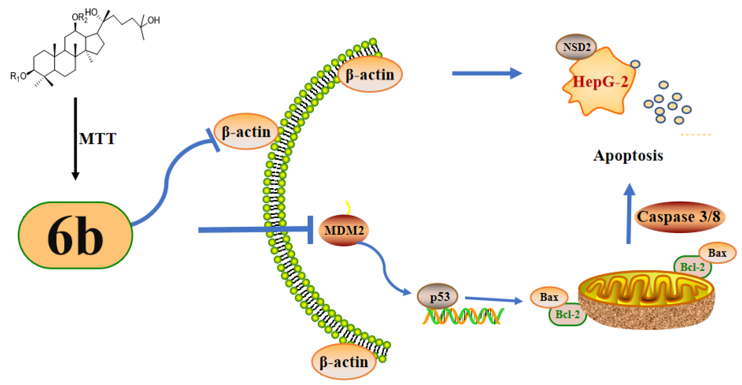 Molecules 28 07400 g008