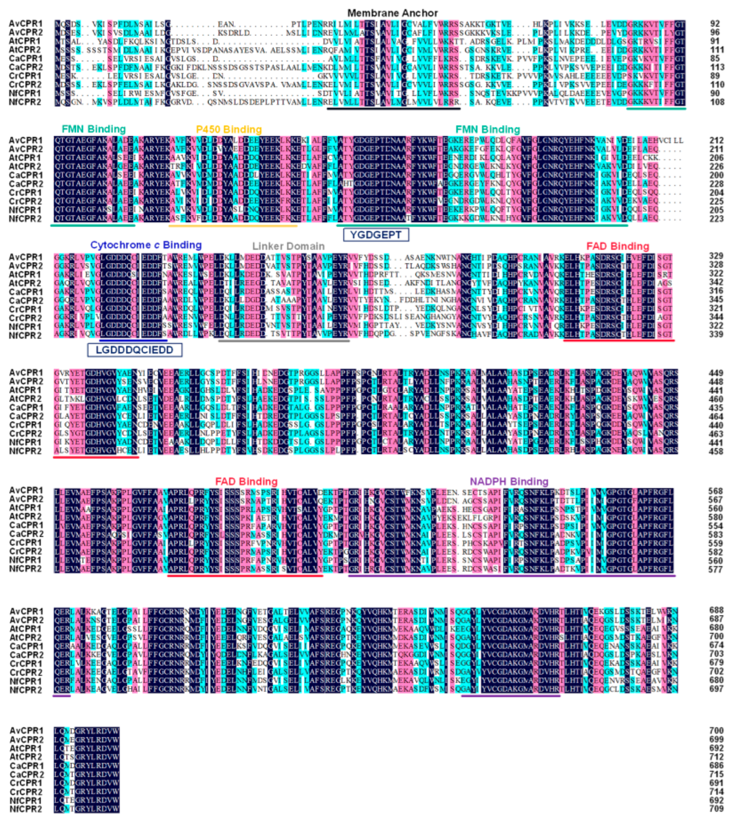 Molecules 28 07409 g001 Molecules 28 07409 g001