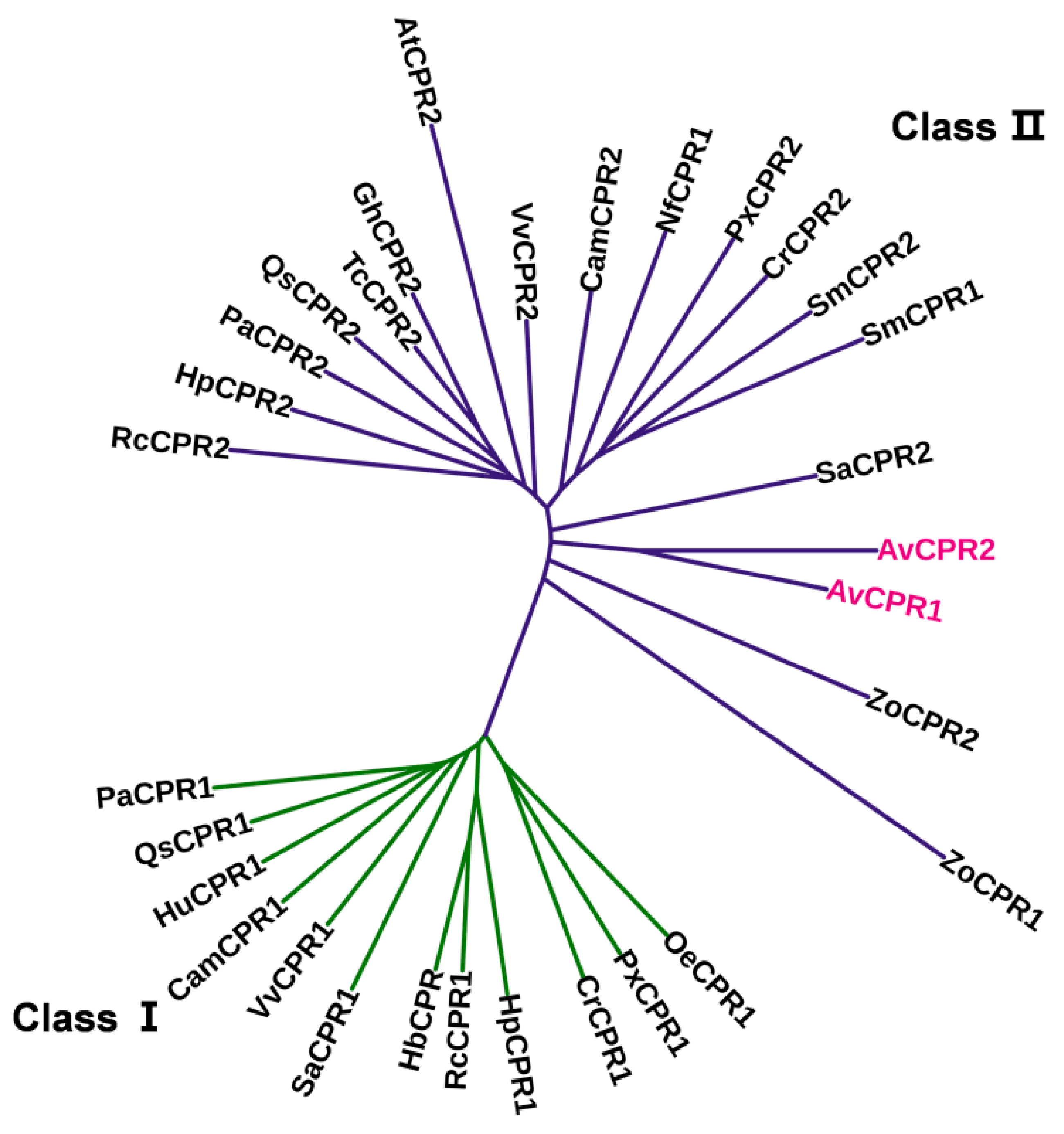 Molecules 28 07409 g002 Molecules 28 07409 g002