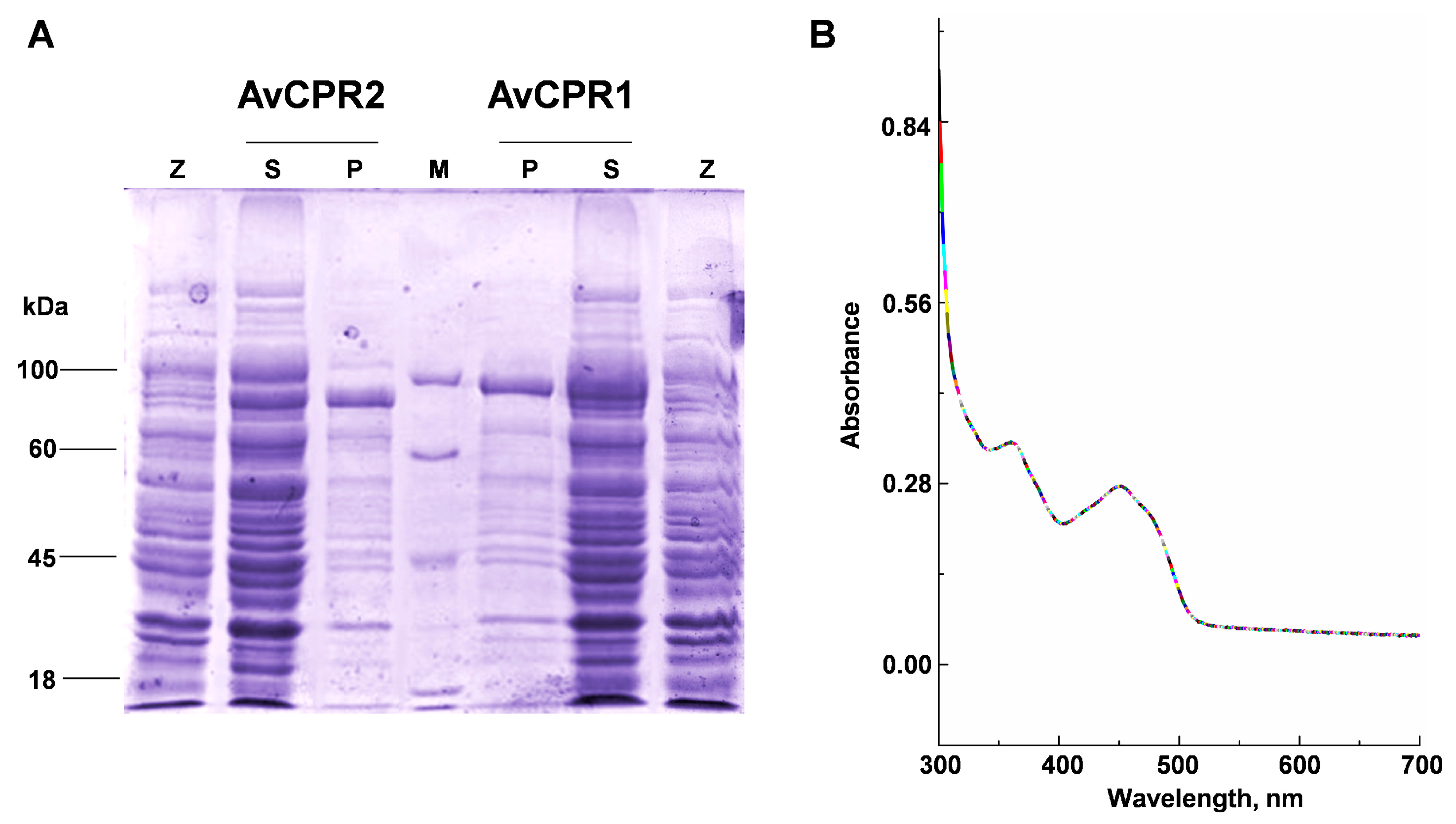 Molecules 28 07409 g003 Molecules 28 07409 g003