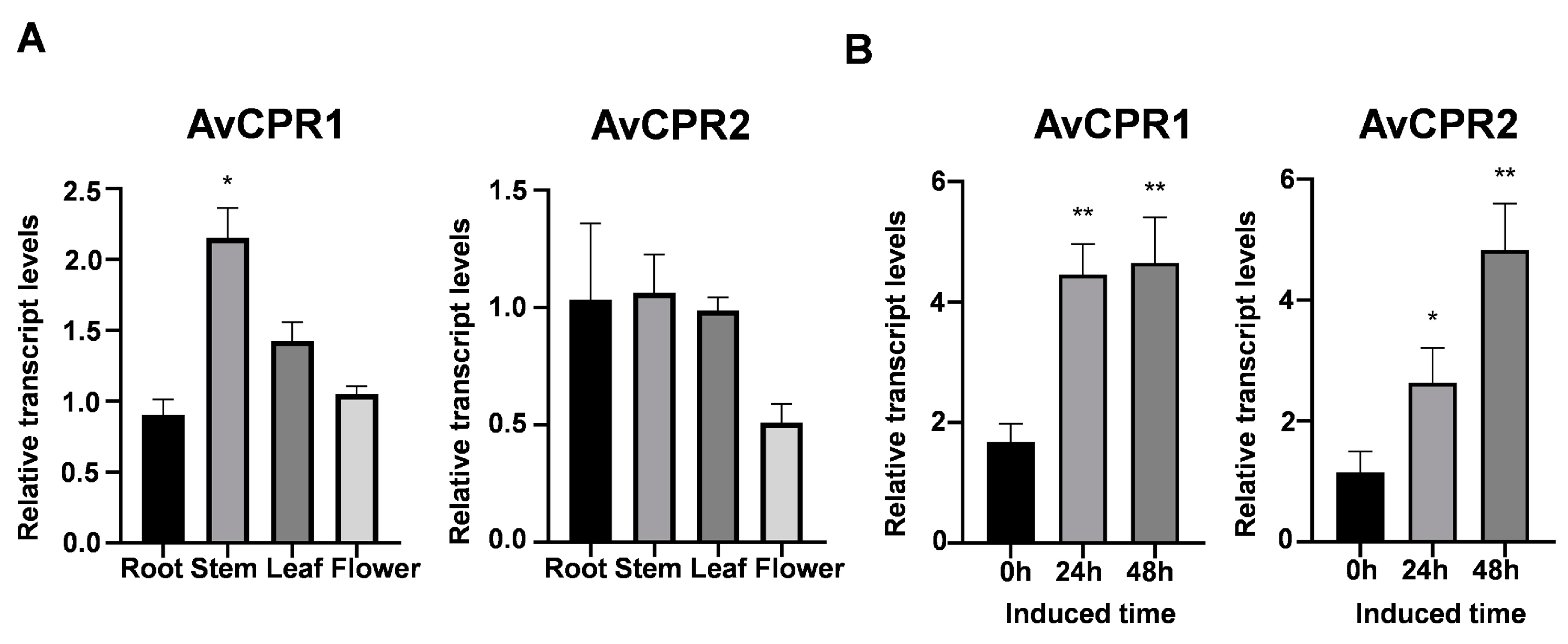 Molecules 28 07409 g006 Molecules 28 07409 g006