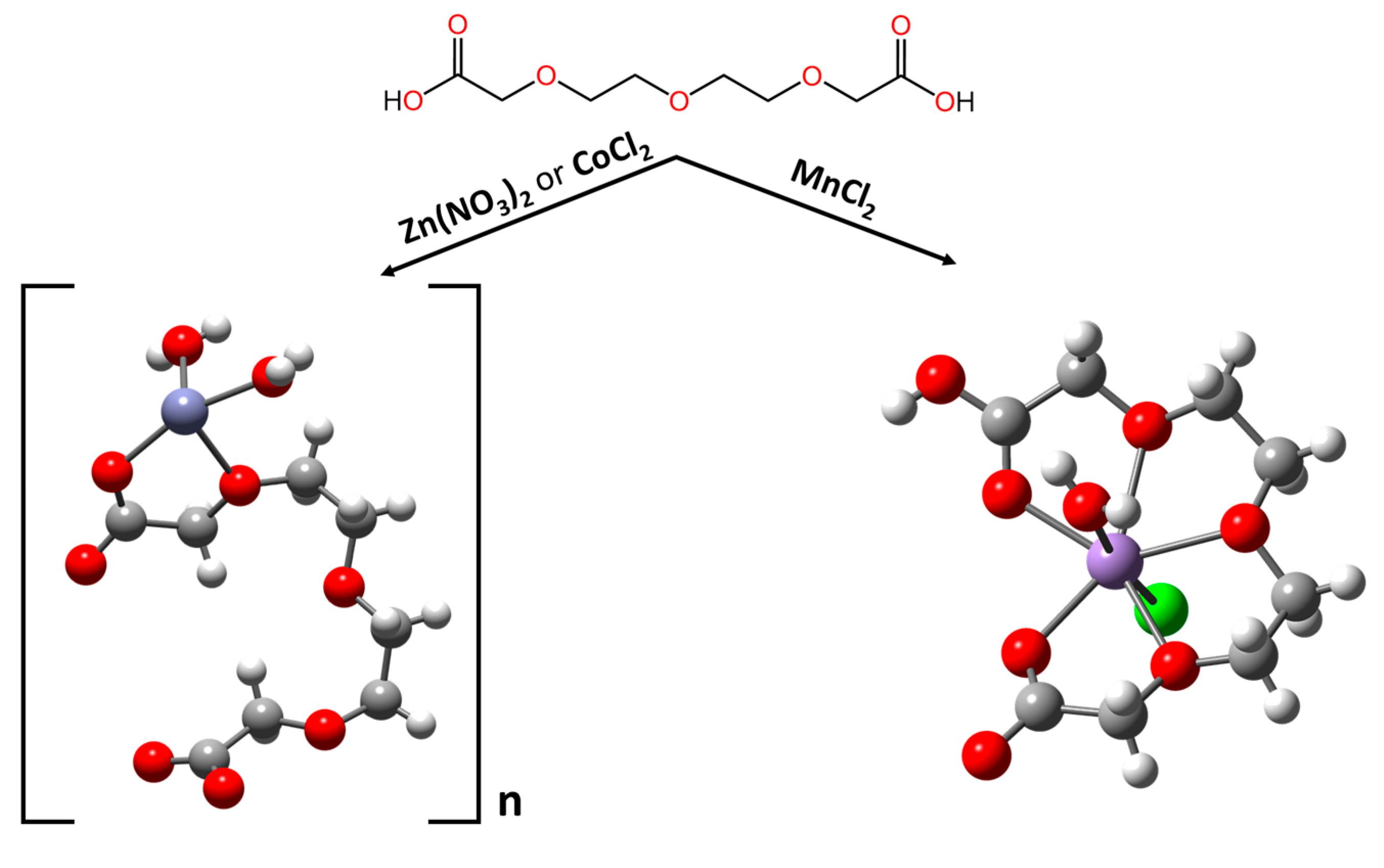 Molecules 28 07410 g001