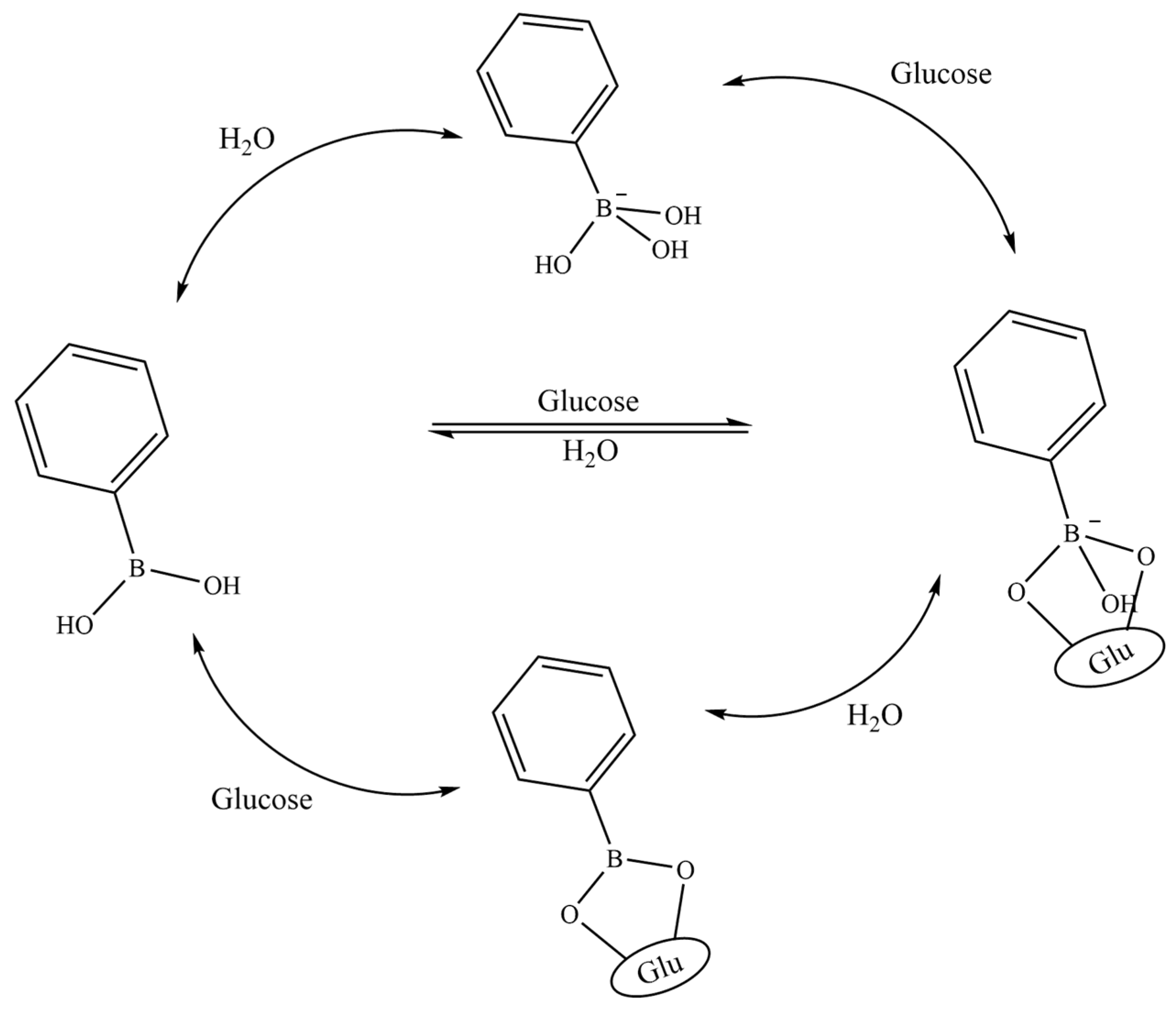 Molecules 28 07411 g004