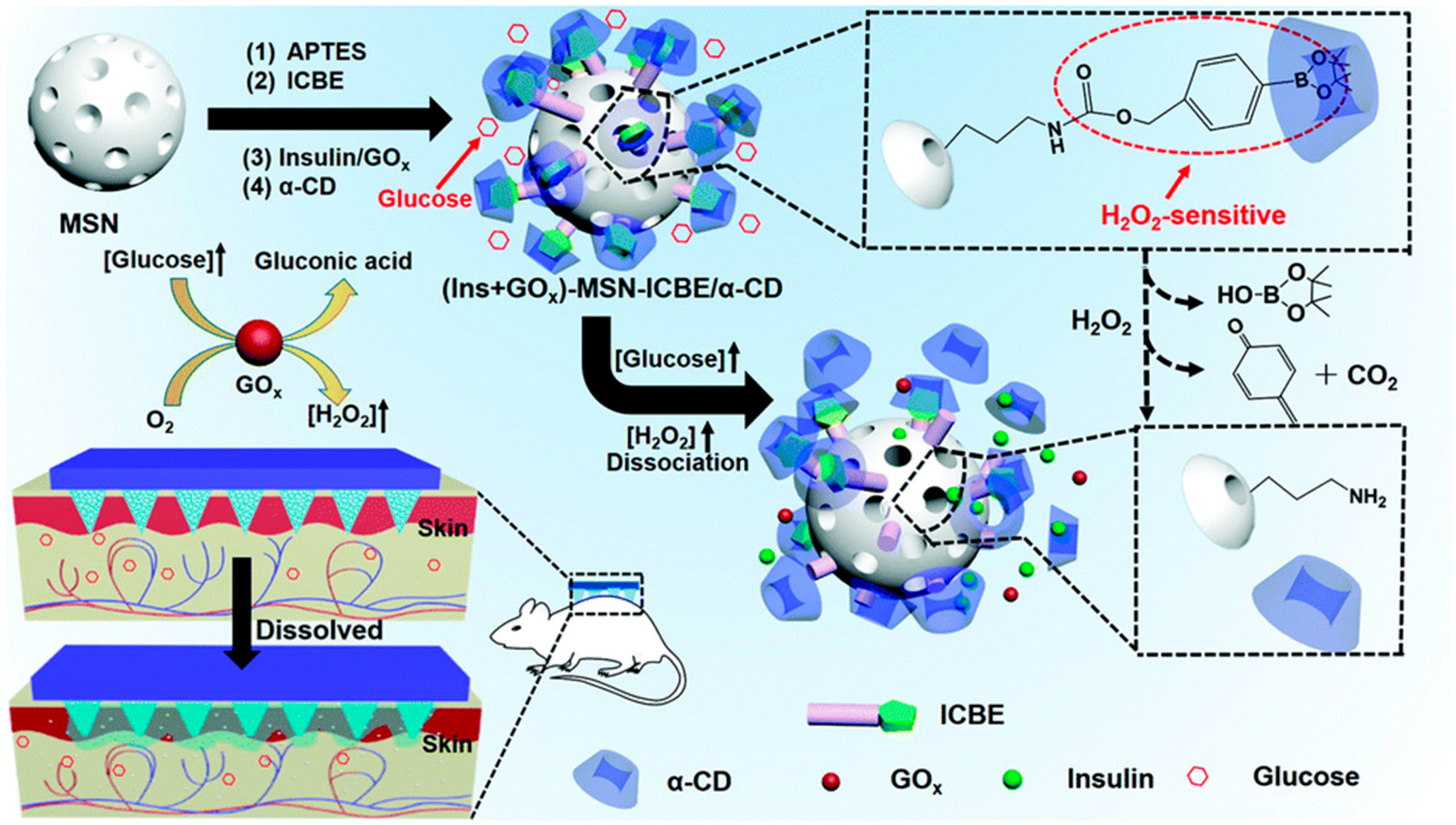 Molecules 28 07411 g006