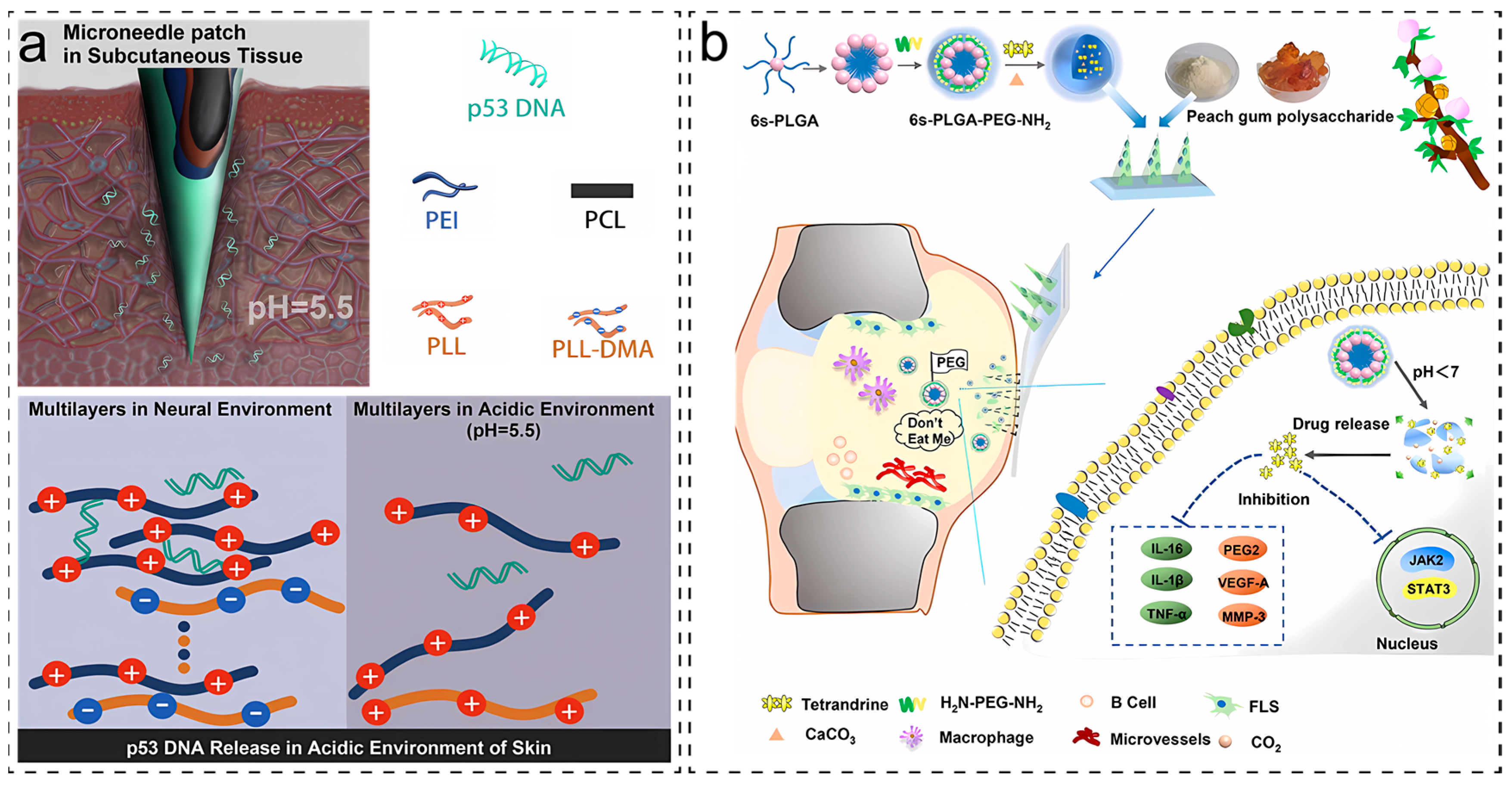 Molecules 28 07411 g007