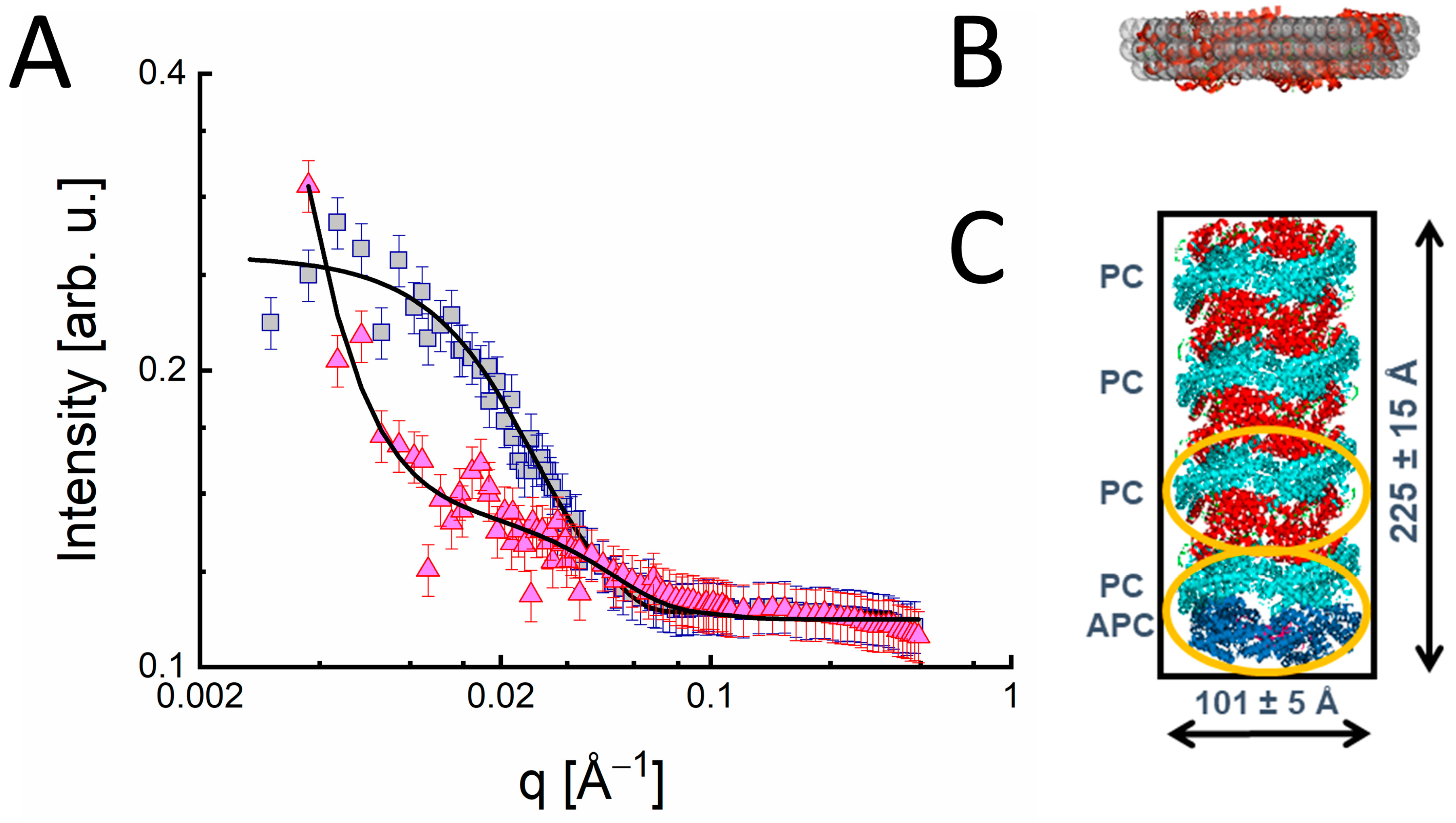 Molecules 28 07414 g007