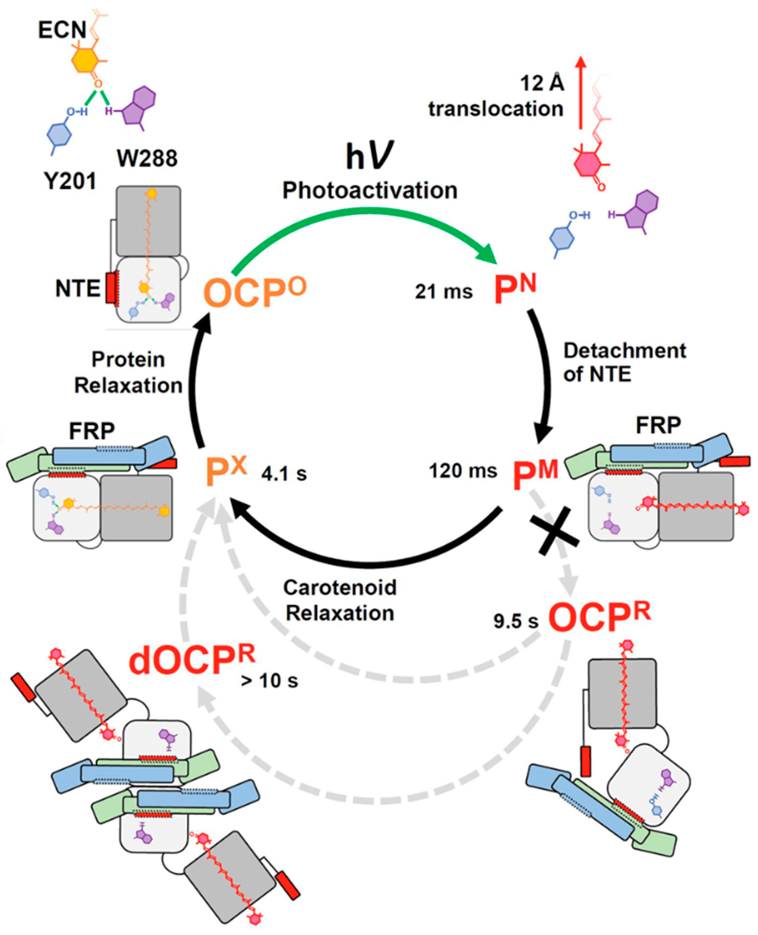 Molecules 28 07414 g009