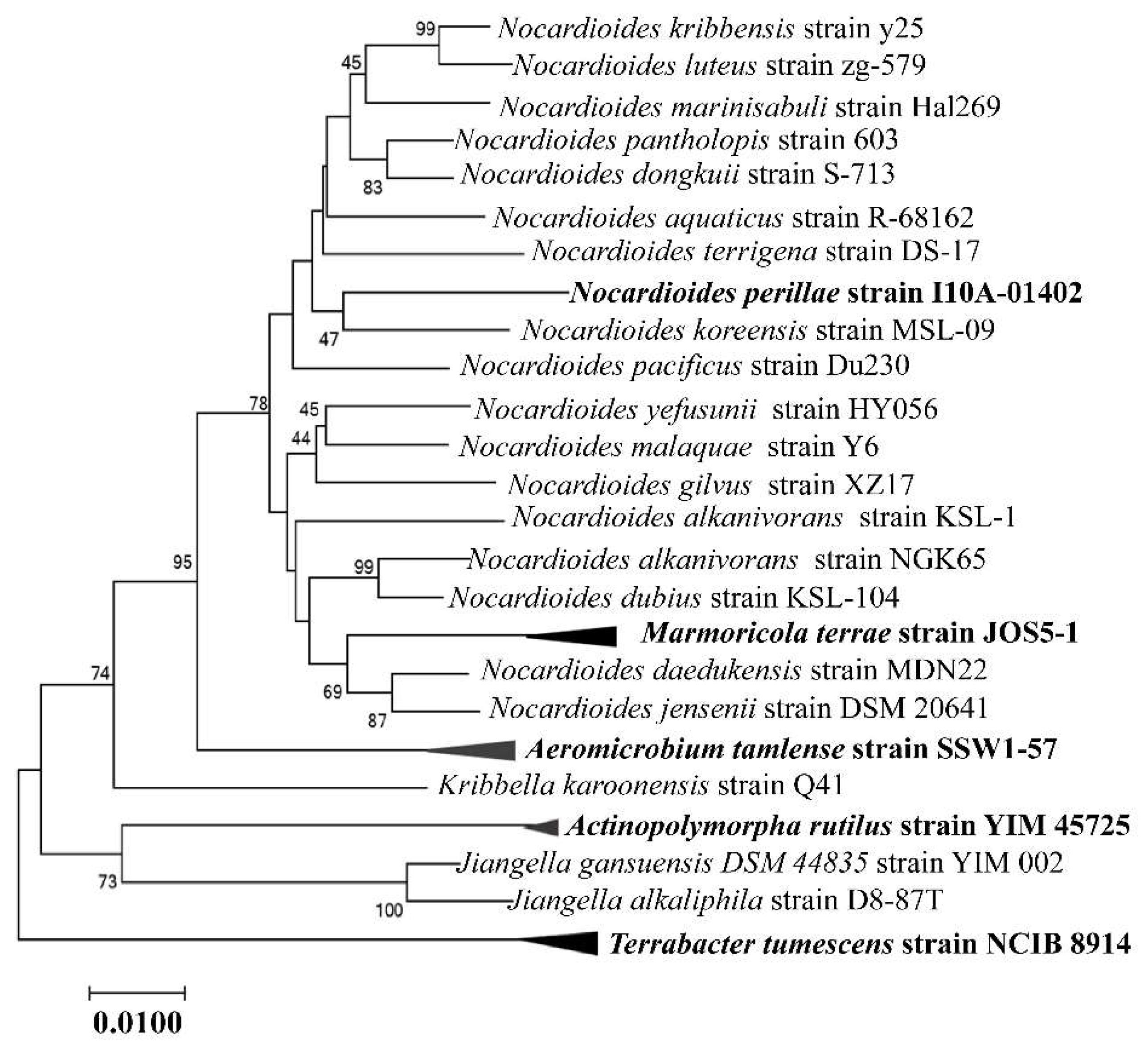 Molecules 28 07433 g002 Molecules 28 07433 g002