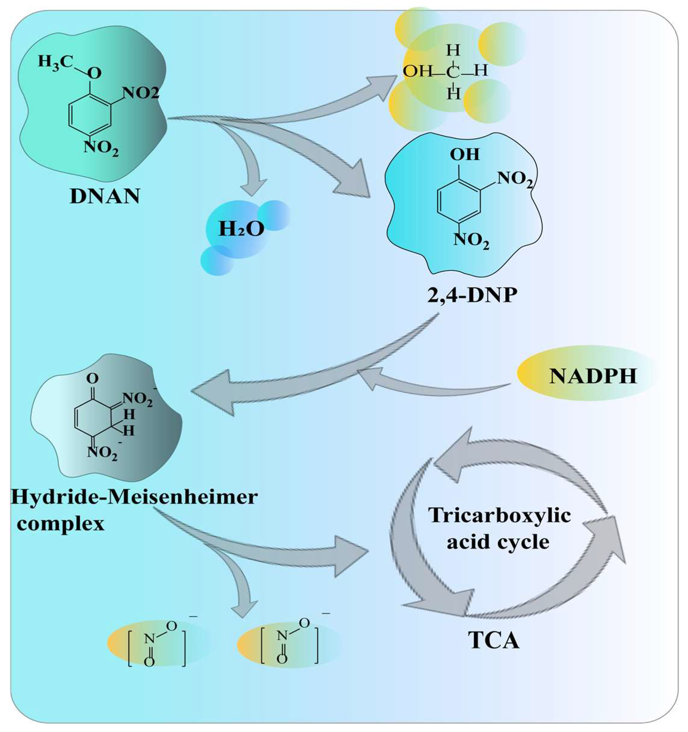 Molecules 28 07433 g006 Molecules 28 07433 g006