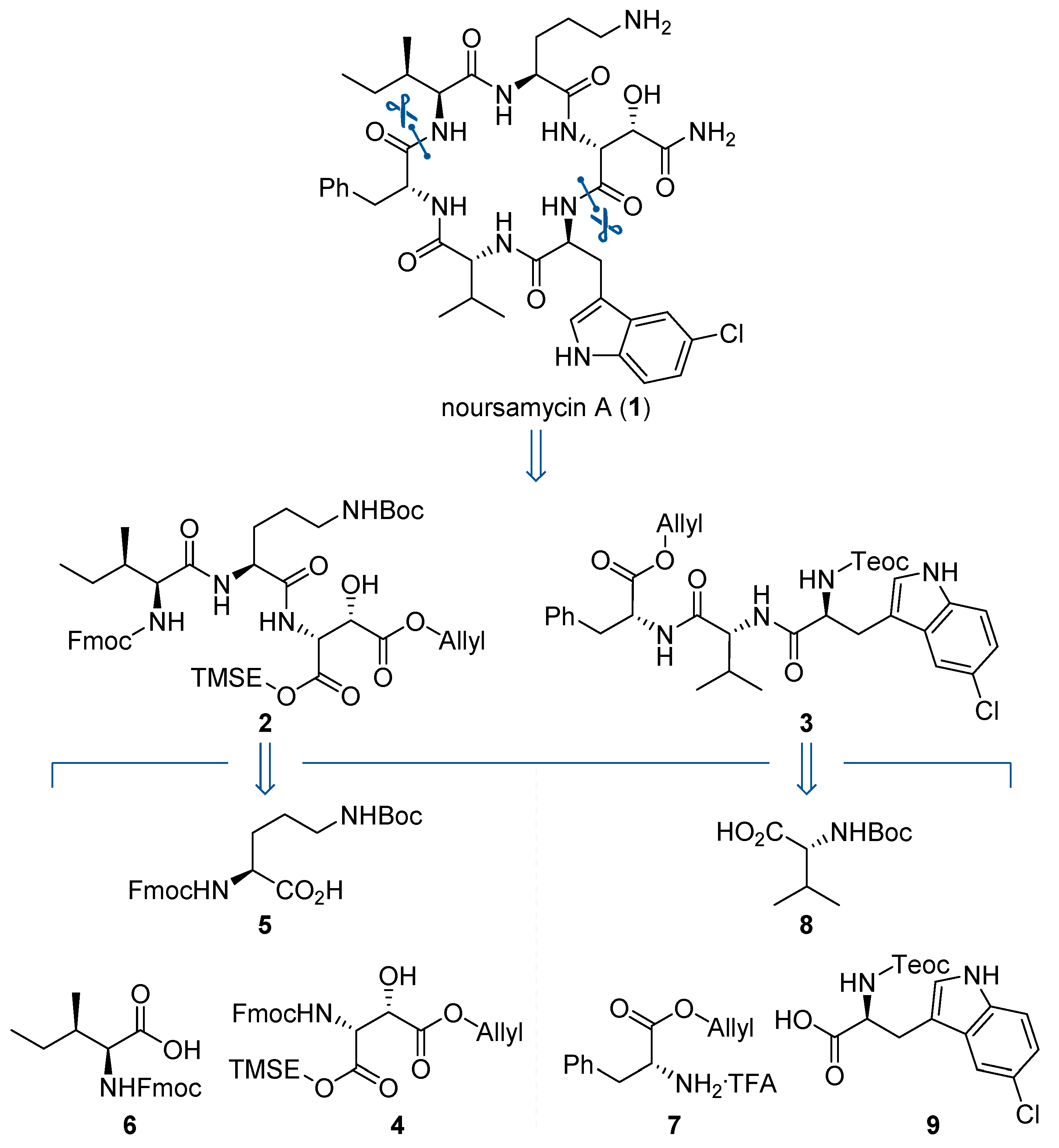 Molecules 28 07442 sch001