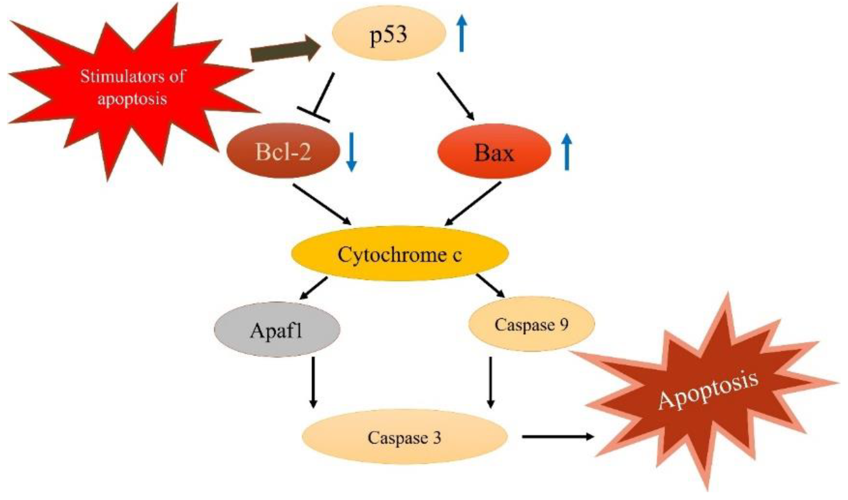 Molecules 28 07445 g007