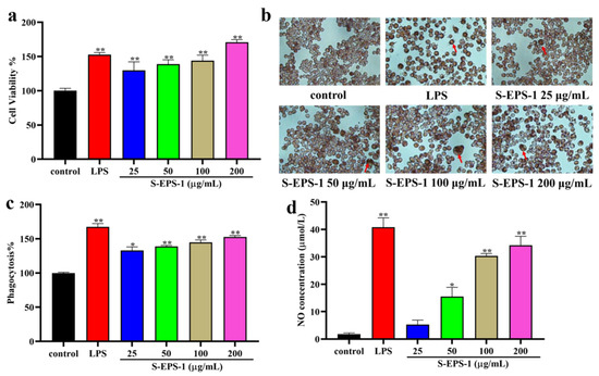 Structural Analysis and Antioxidant and Immunoregulatory