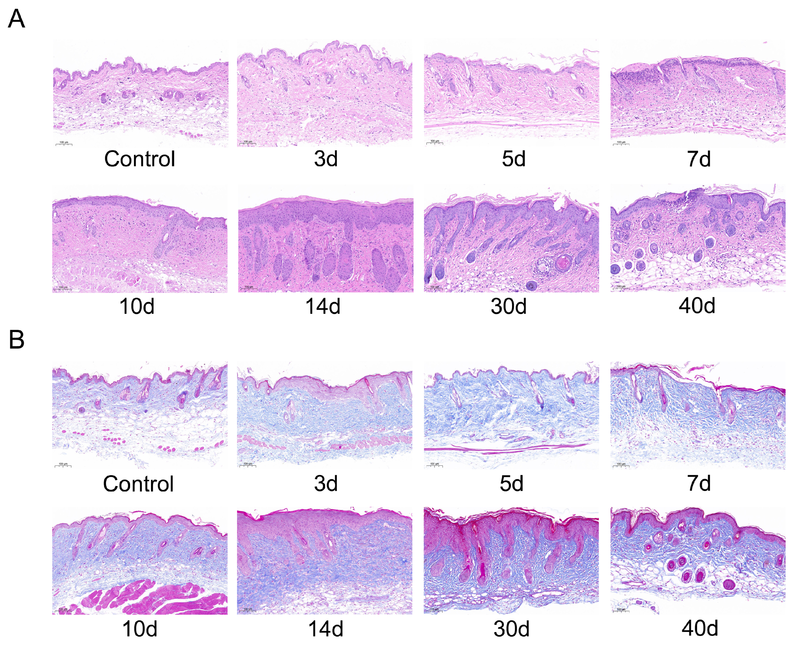 Molecules 28 07449 g010a