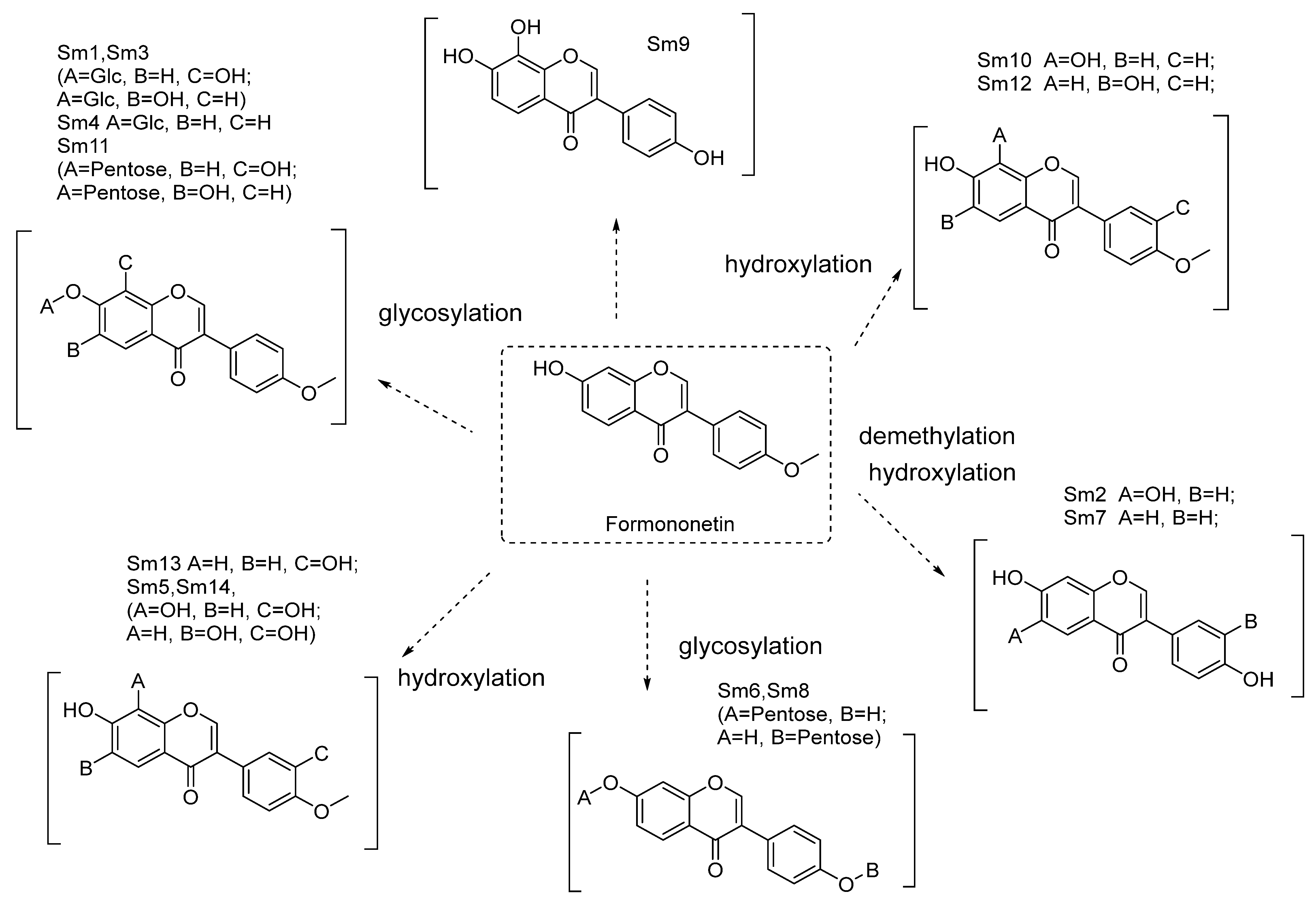 Molecules 28 07451 g004