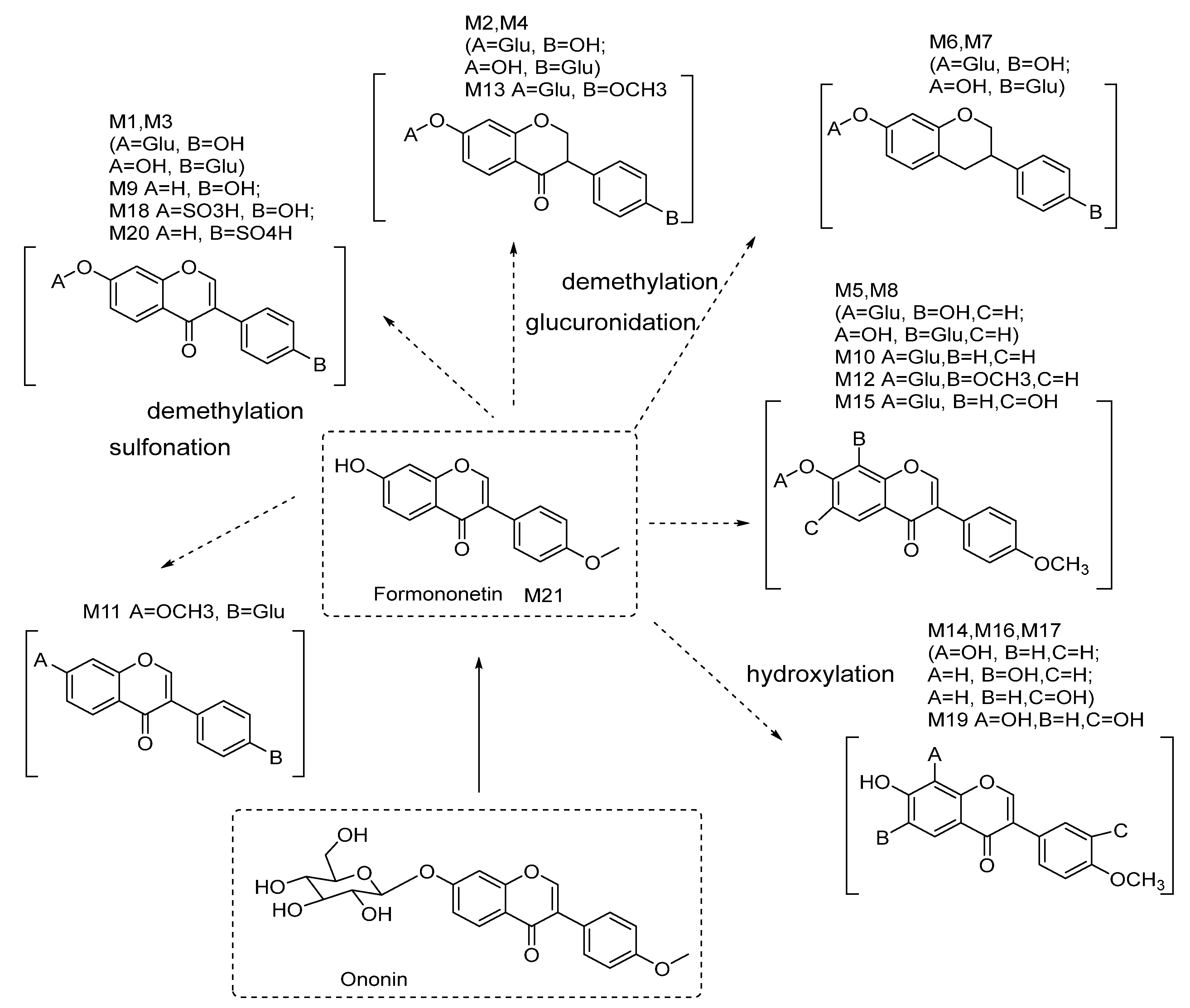 Molecules 28 07451 g006