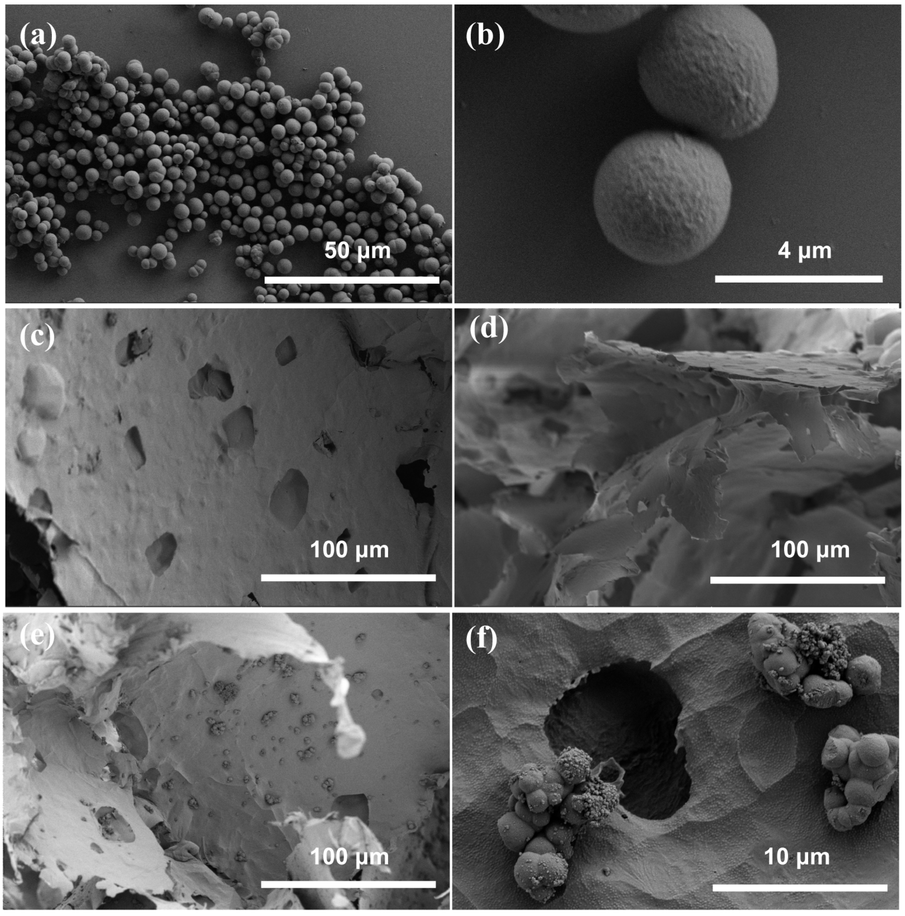 Molecules 28 07452 g001