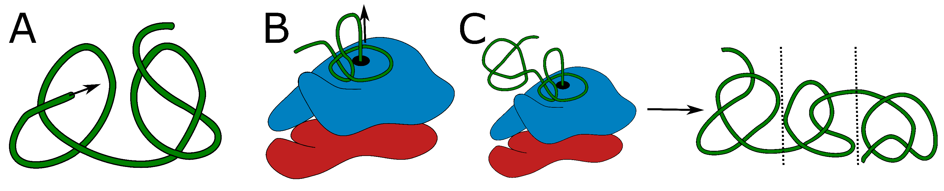 Molecules 28 07462 g002