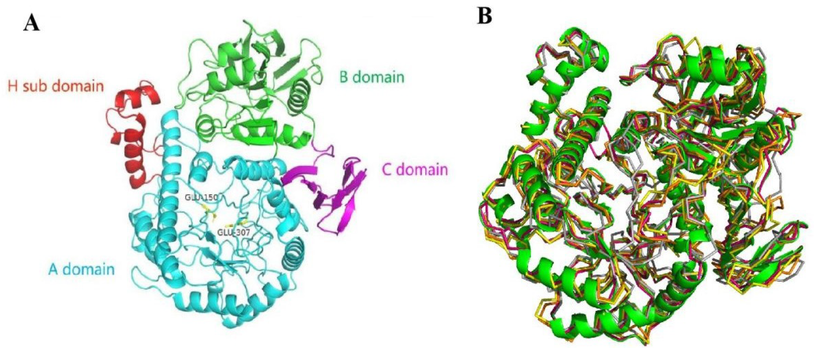 Molecules 28 07464 g002 Molecules 28 07464 g002