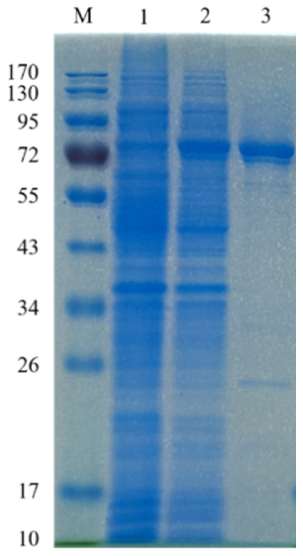 Molecules 28 07464 g003 Molecules 28 07464 g003
