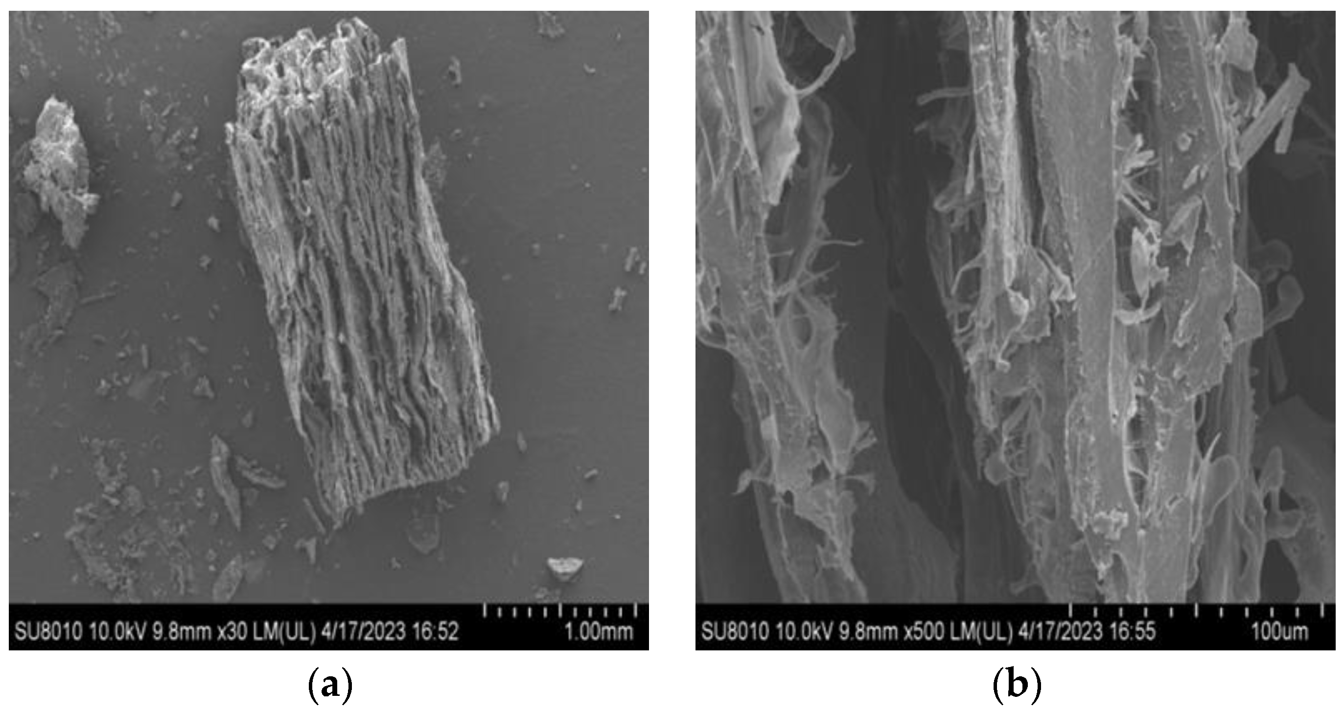 Molecules 28 07465 g003