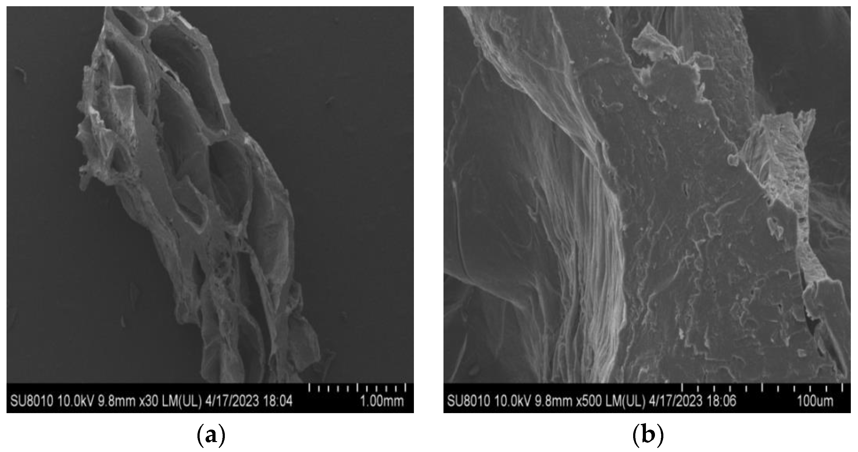 Molecules 28 07465 g004