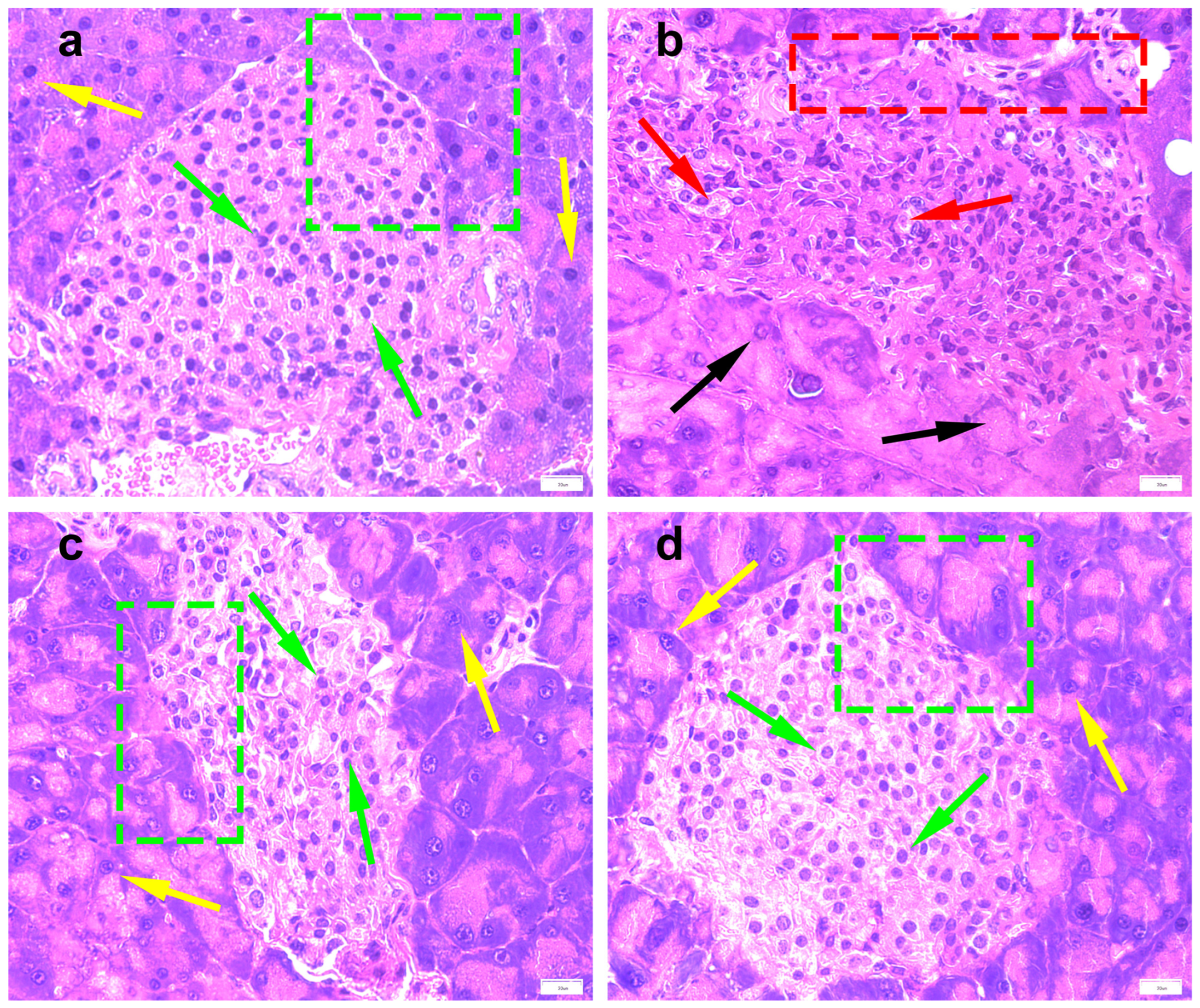Molecules 28 07471 g003