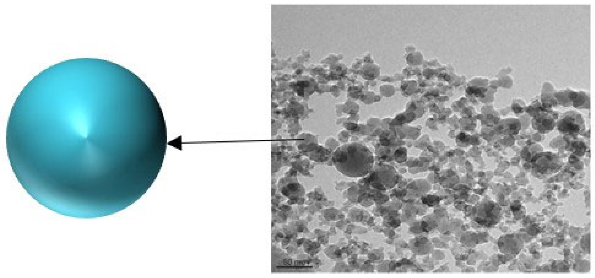 Molecules 28 07478 g002 Molecules 28 07478 g002