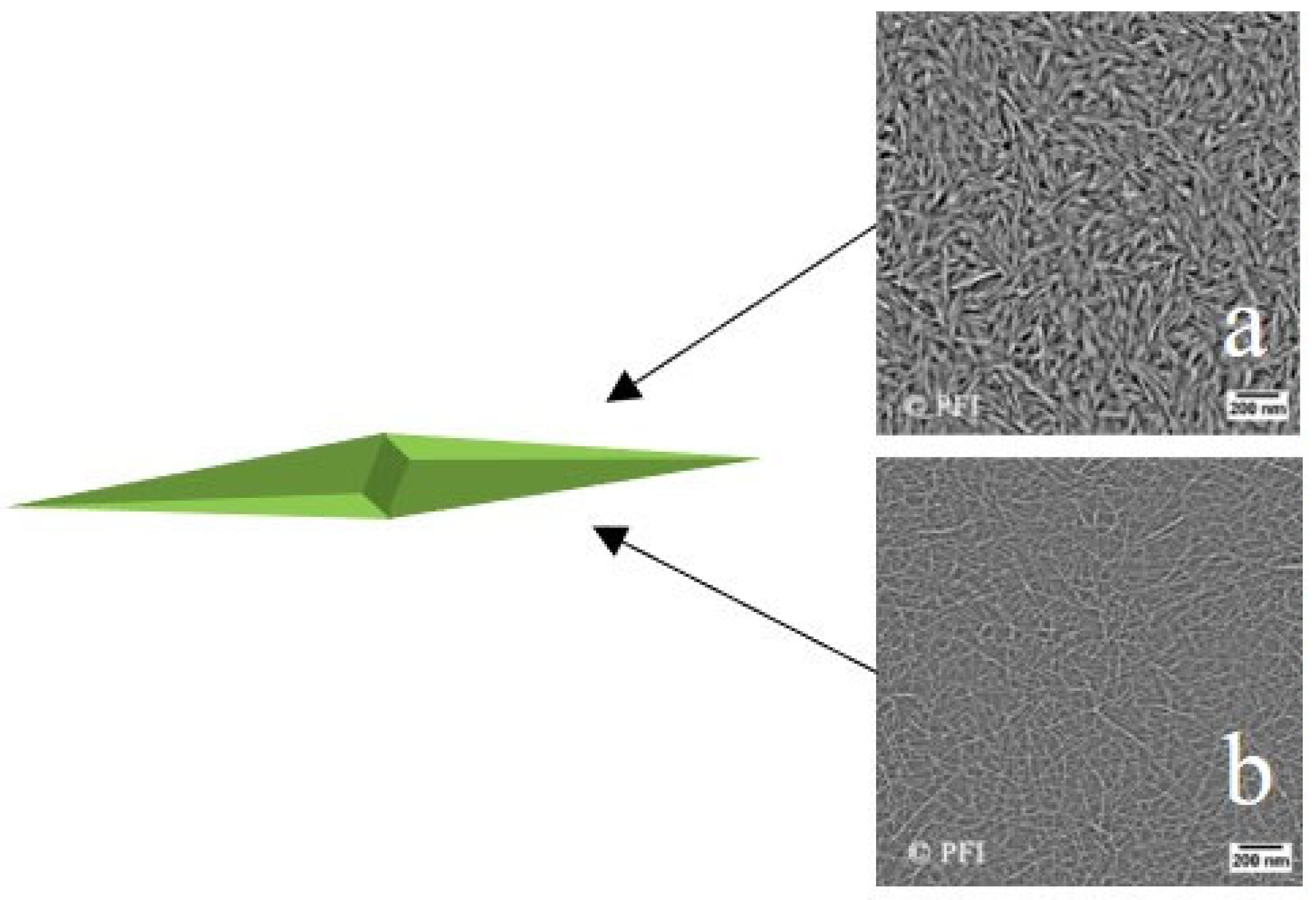 Molecules 28 07478 g003 Molecules 28 07478 g003