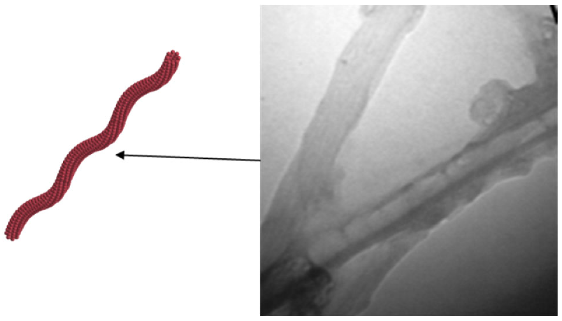 Molecules 28 07478 g004 Molecules 28 07478 g004