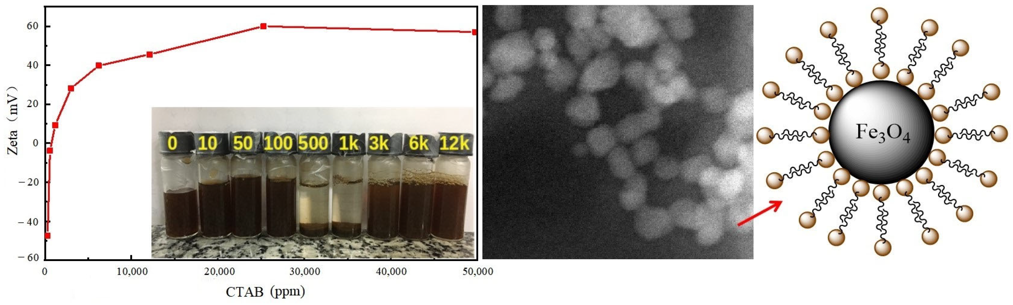 Molecules 28 07478 g006 Molecules 28 07478 g006