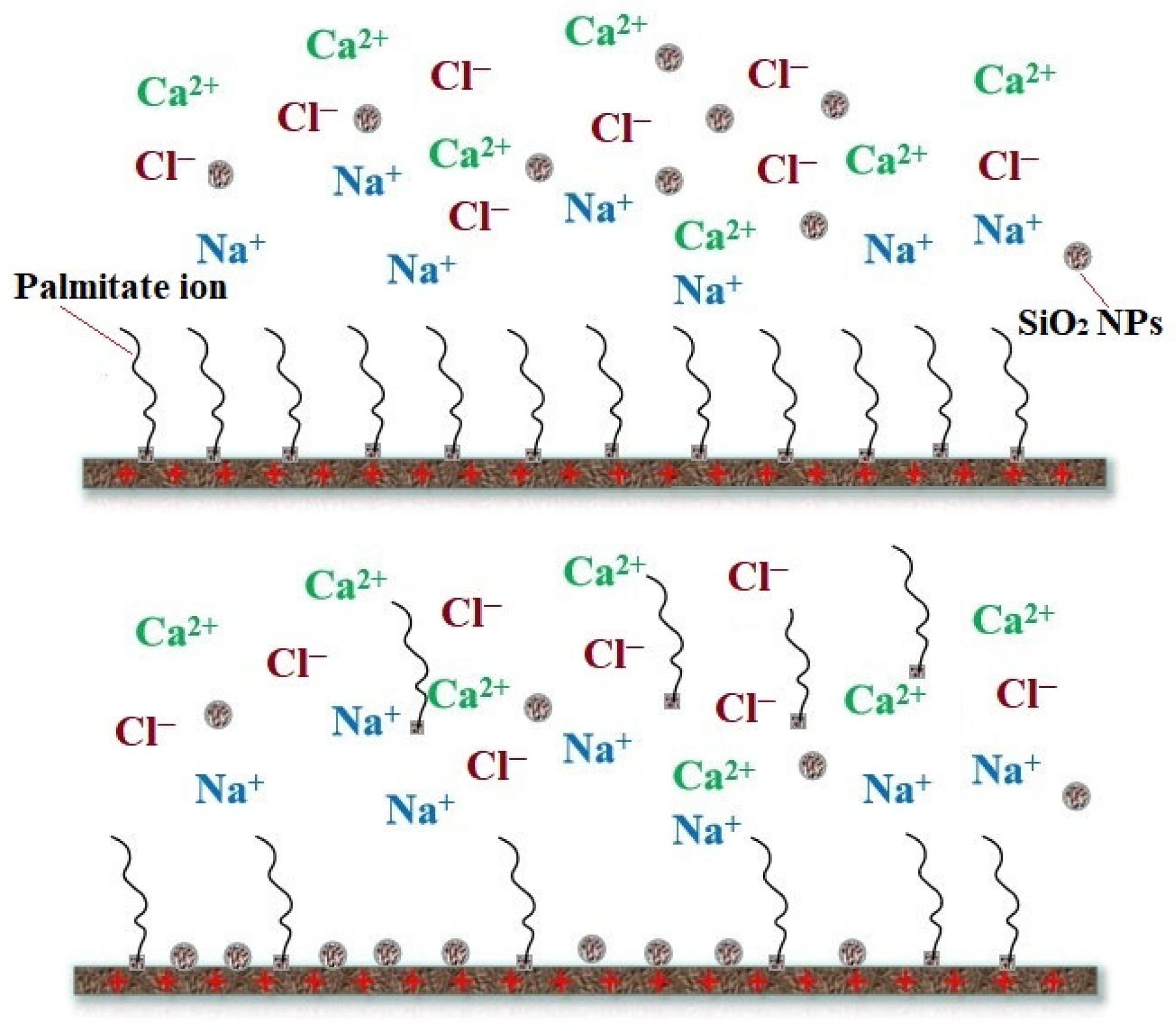 Molecules 28 07478 g012 Molecules 28 07478 g012